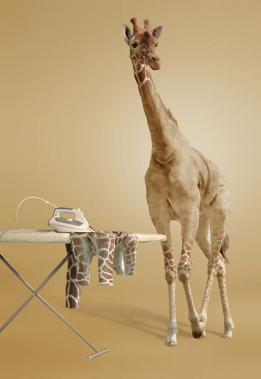 Screen Shot 2017-03-14 at 1.41.49 PM.png