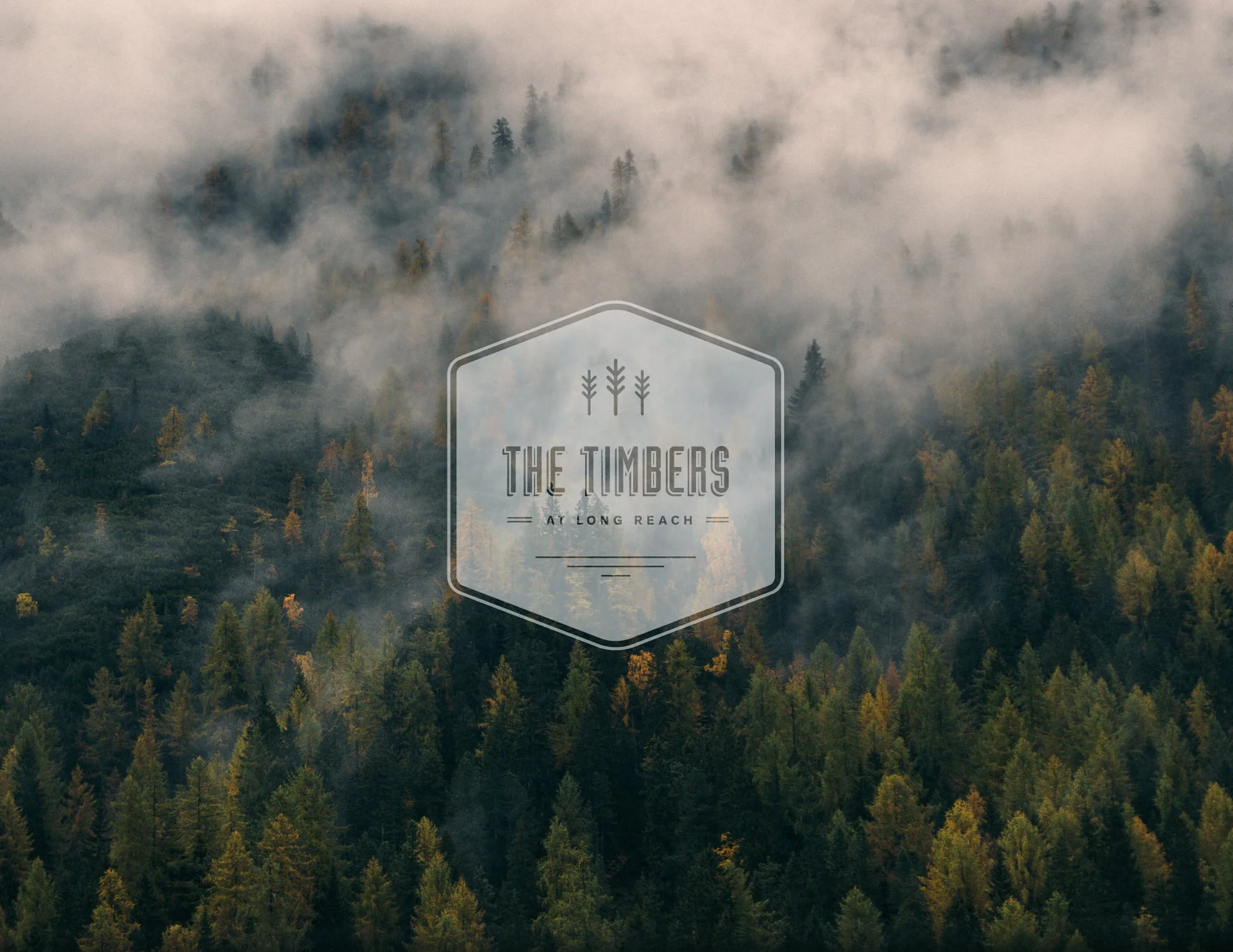 Logo for The Timbers apartment homes