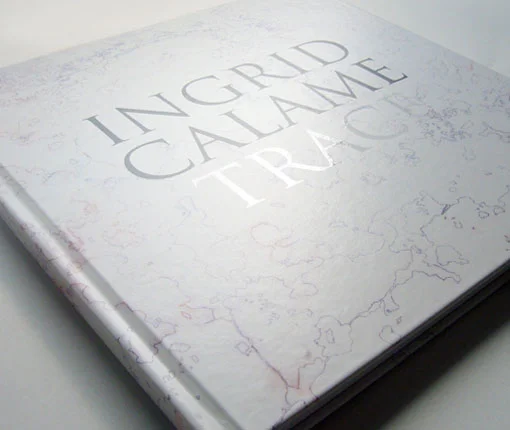 CALAME_Trace_2011.jpg