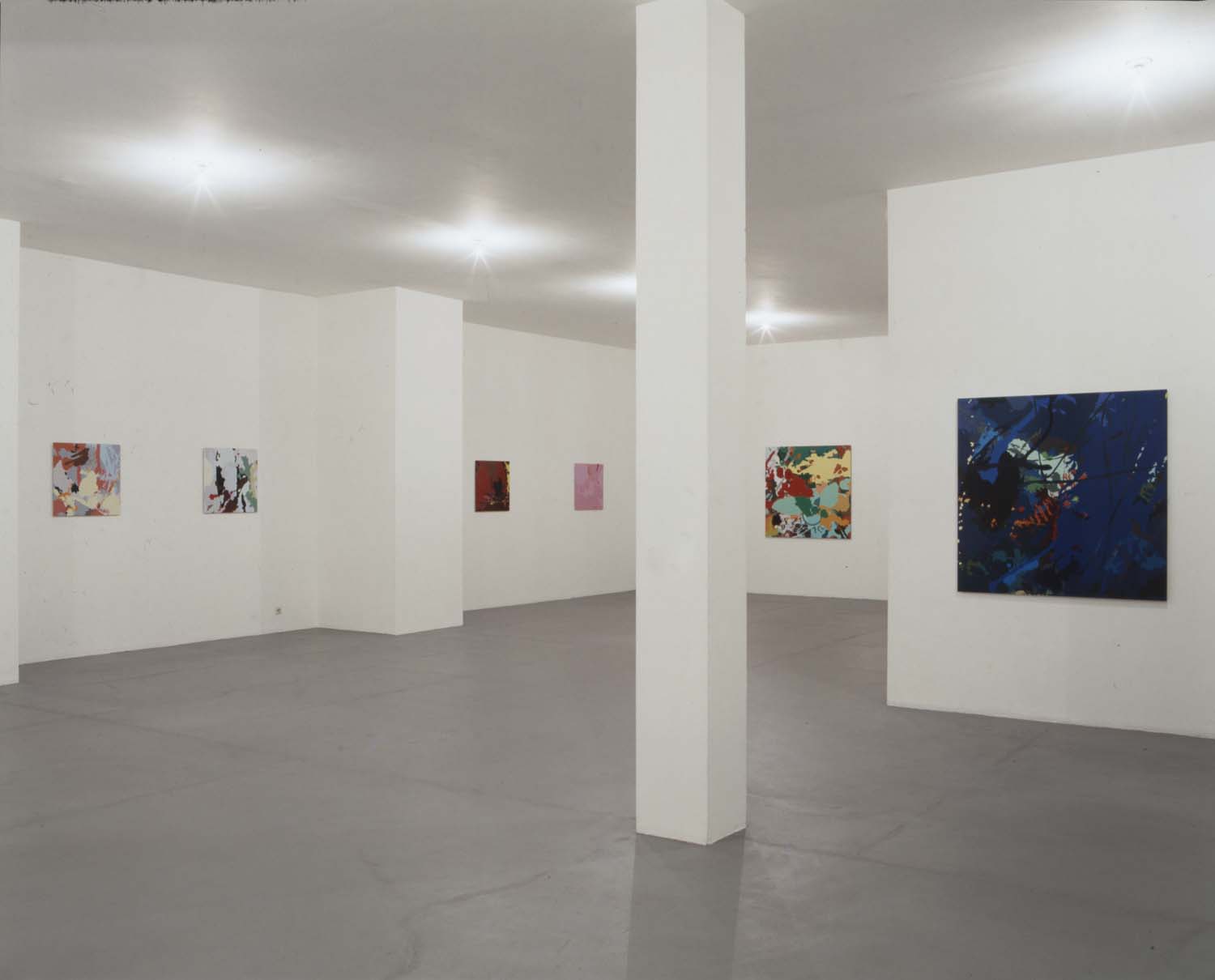 "Ingrid Calame" Galerie Rolf Ricke, Cologne, Germany, 1998