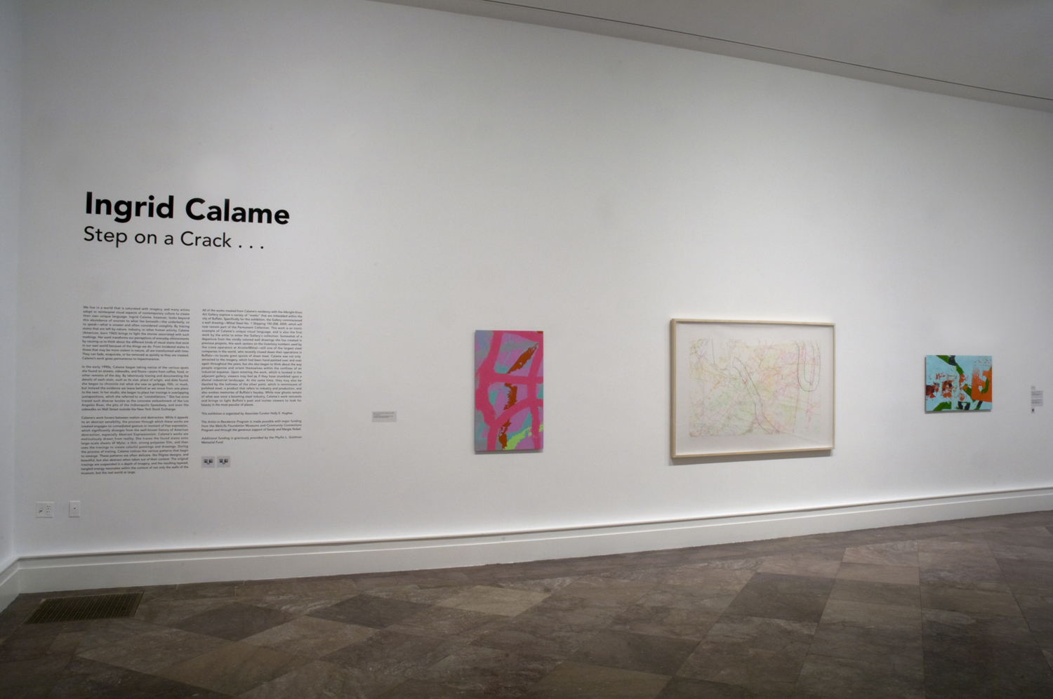 Albright Knox Art Gallery, installation view of "Ingrid Calame: Step on a Crack," 2009