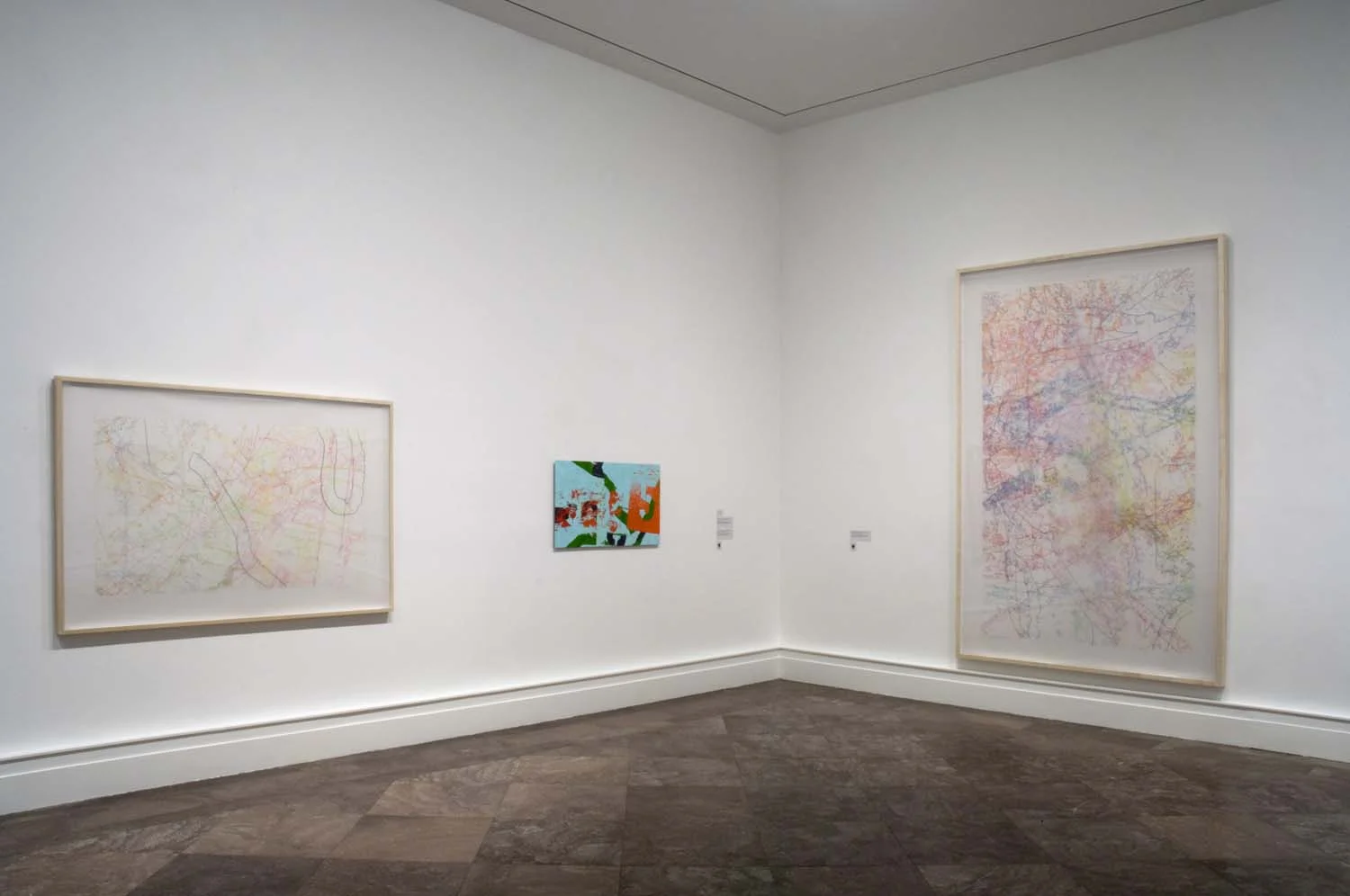 Albright Knox Art Gallery, installation view of "Ingrid Calame: Step on a Crack," 2009