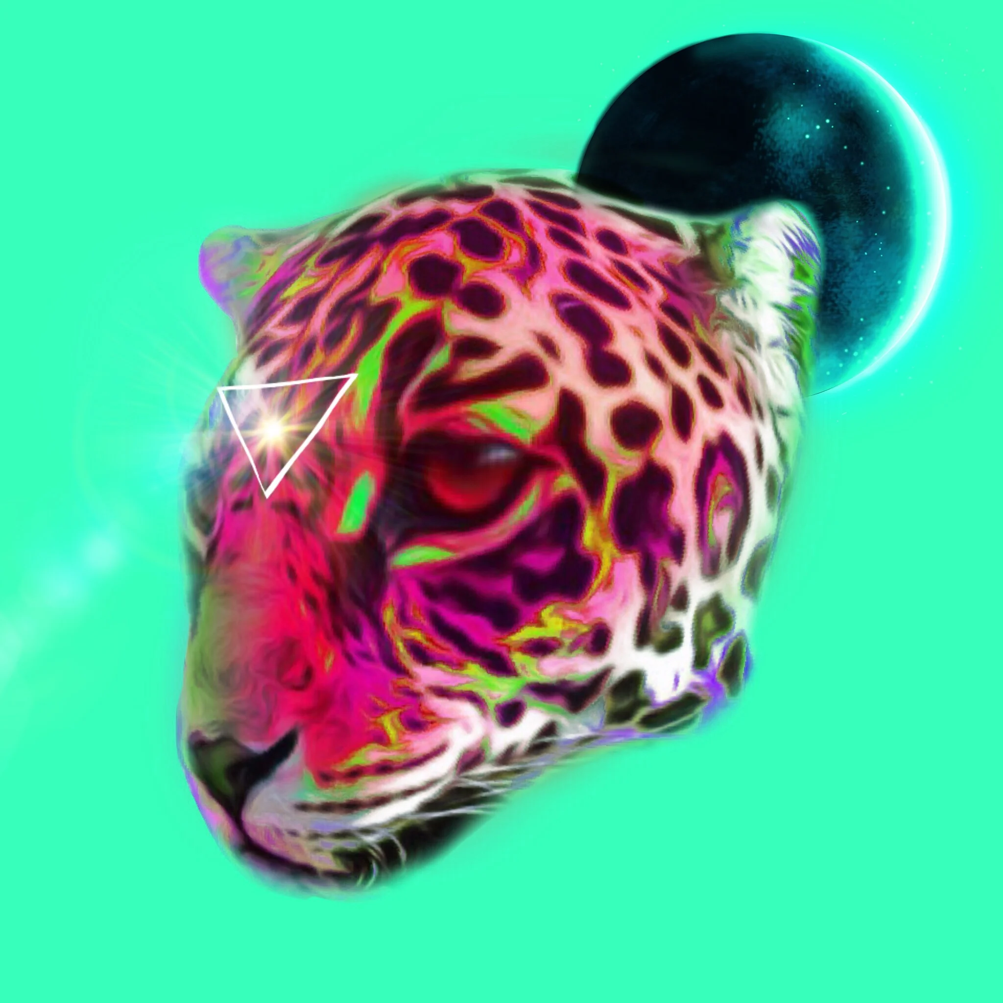 IMG_2015.JPEG