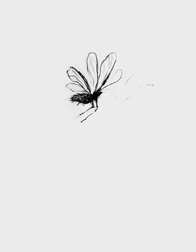 Insect 02