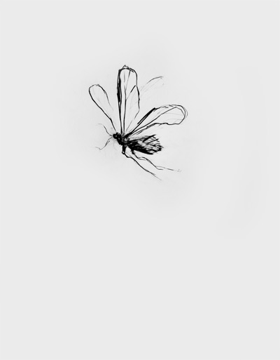 jason_lockyer_draw_01.jpg