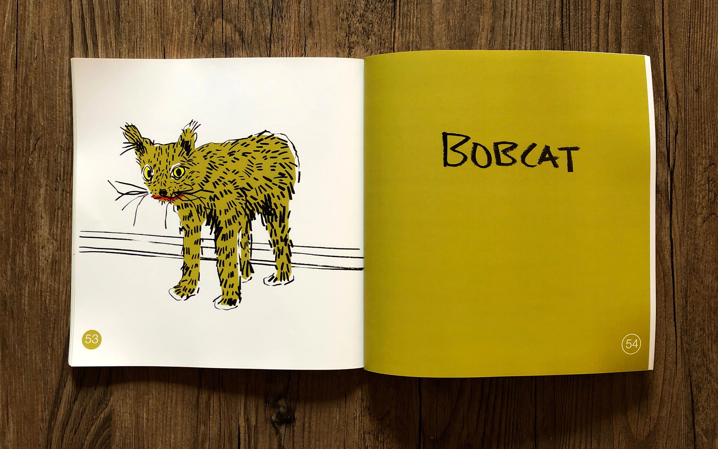 Book-bobcat.jpg