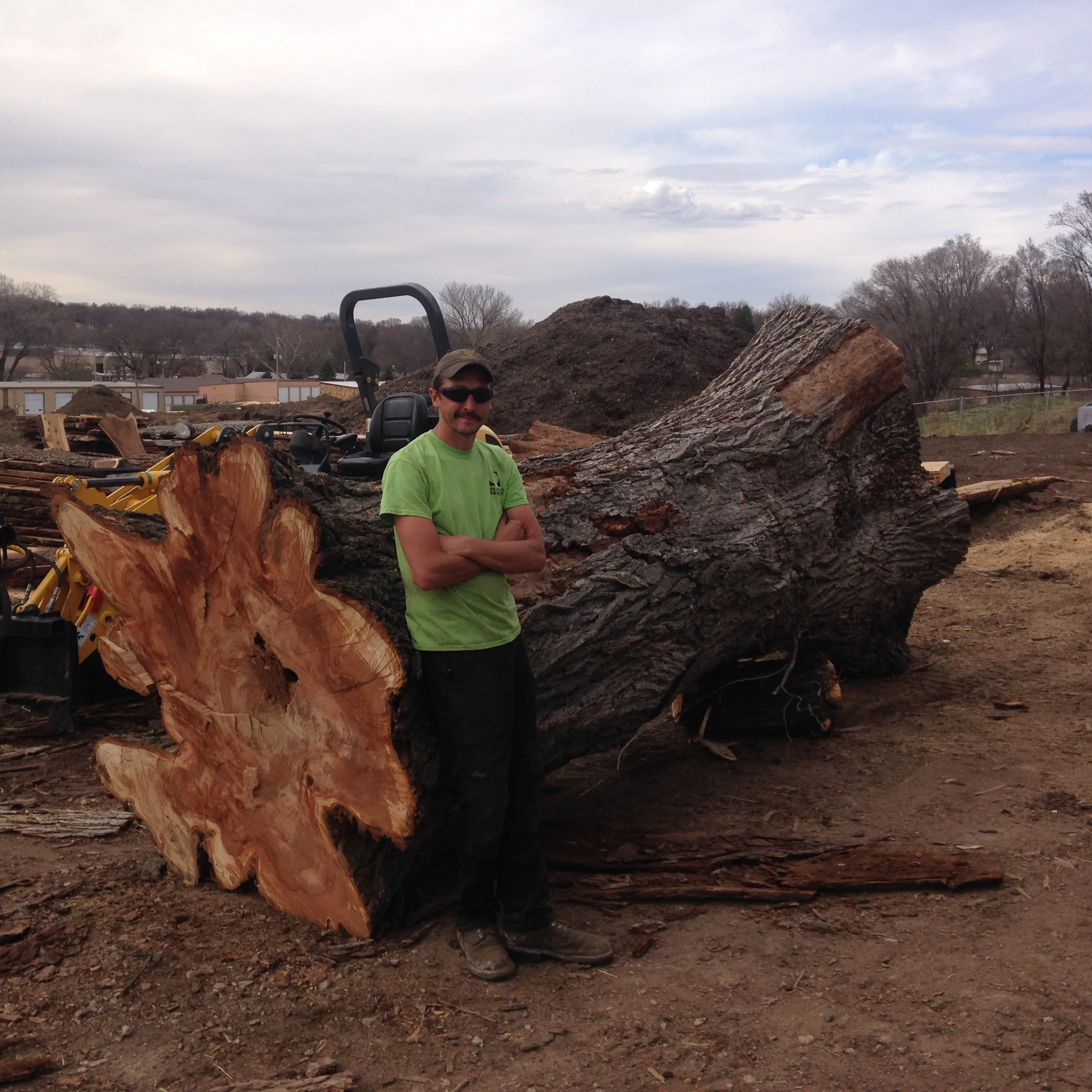 13,000 Lb American Elm