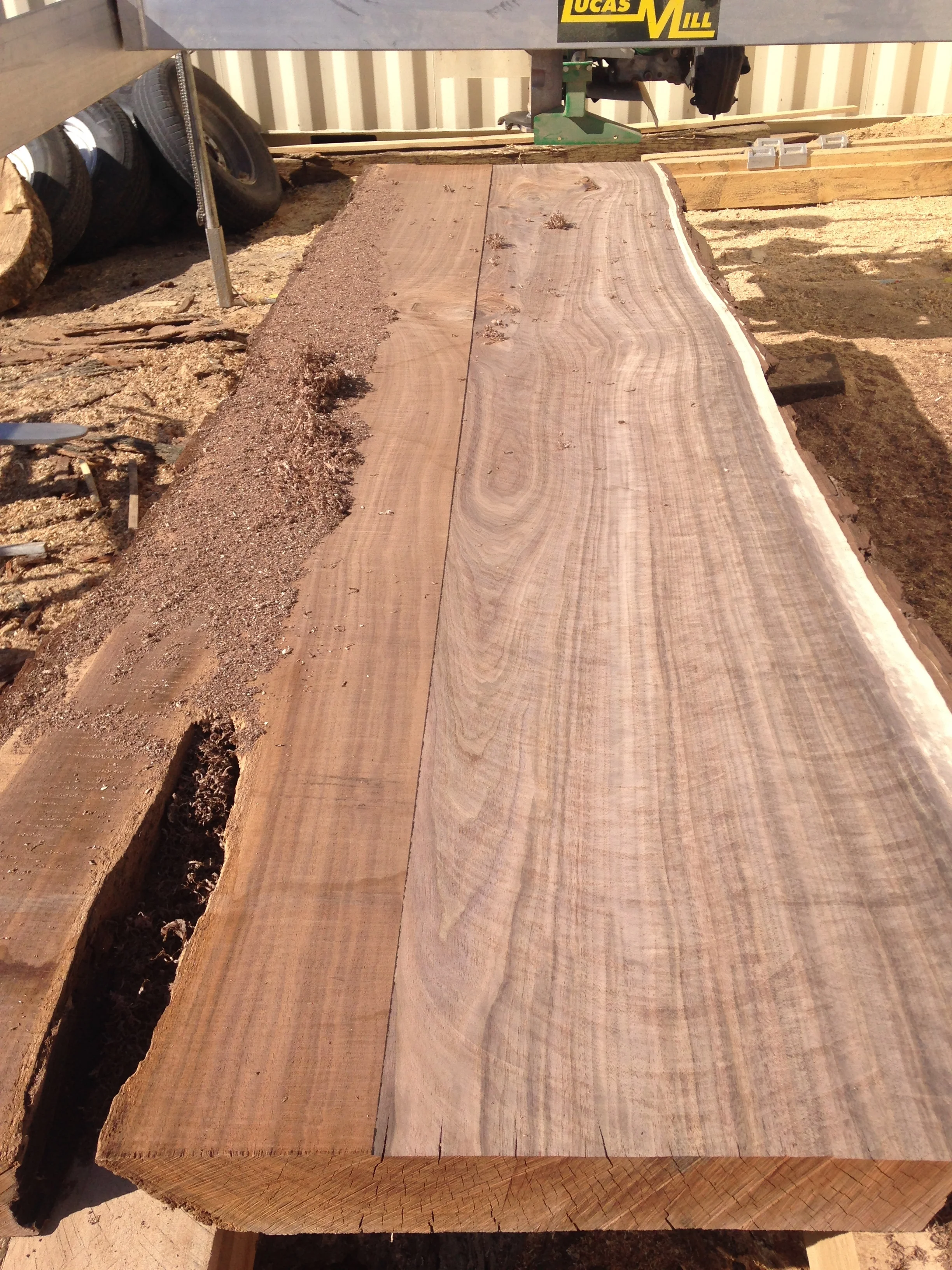 Surface Planing of Black Walnut