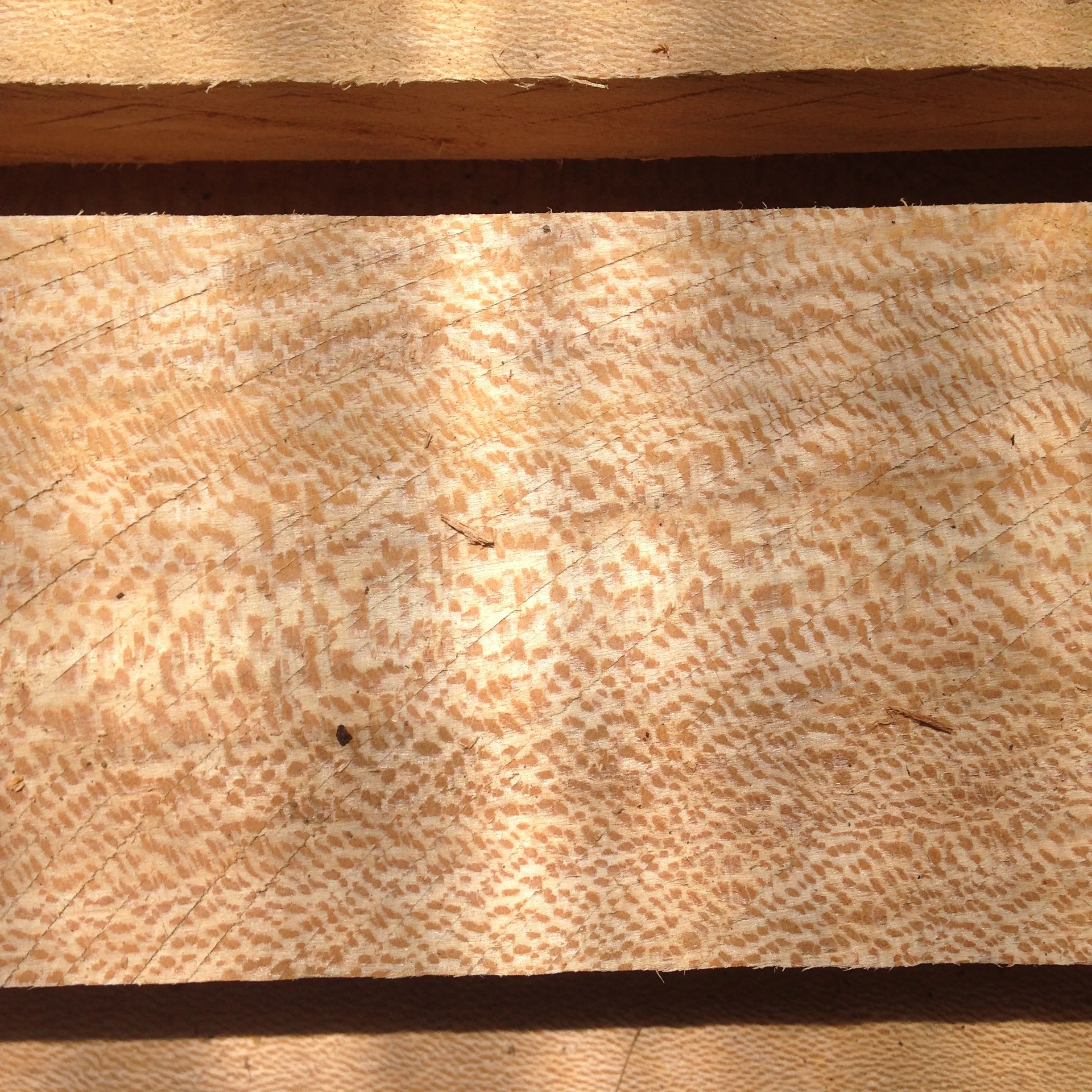 Quarter Sawn Sycamore