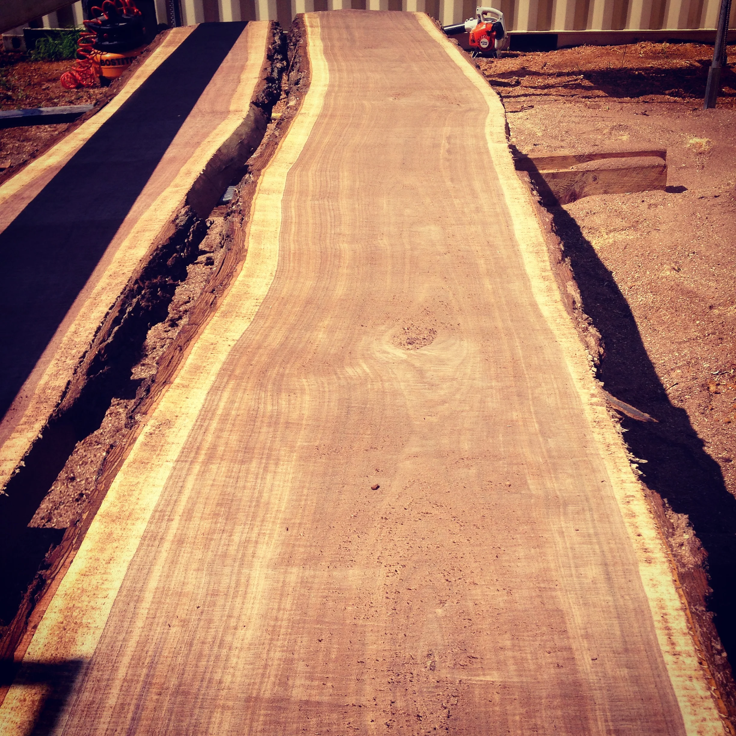 Black Walnut Slab