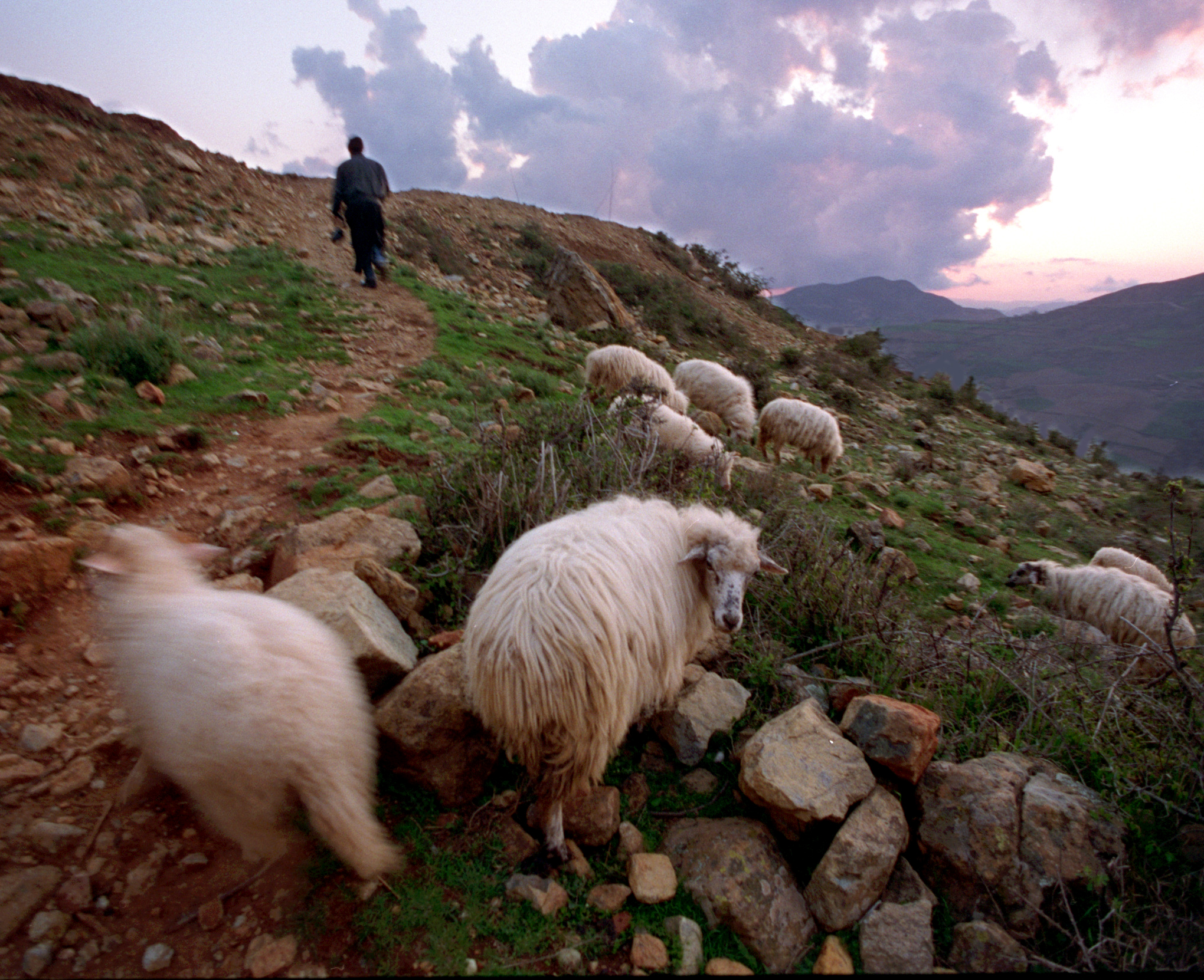  Father Martin Ritsi walks up a narrow mountain road in Gjnir, a region of small, poor villages in the mountains east of the industrial city of Elbasan.&nbsp;©Gail Fisher Los Angeles Times 