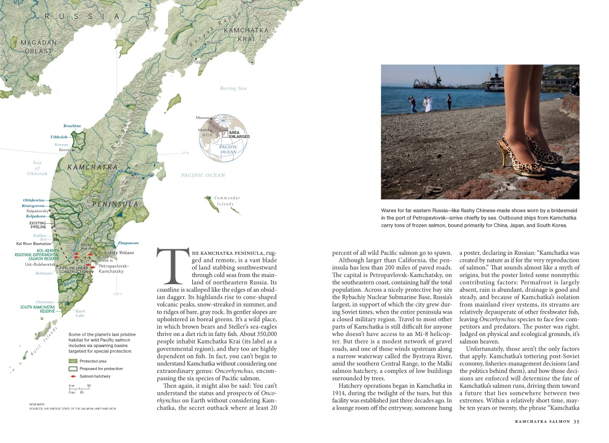Kamchatka Salmon MM7593-4.jpg