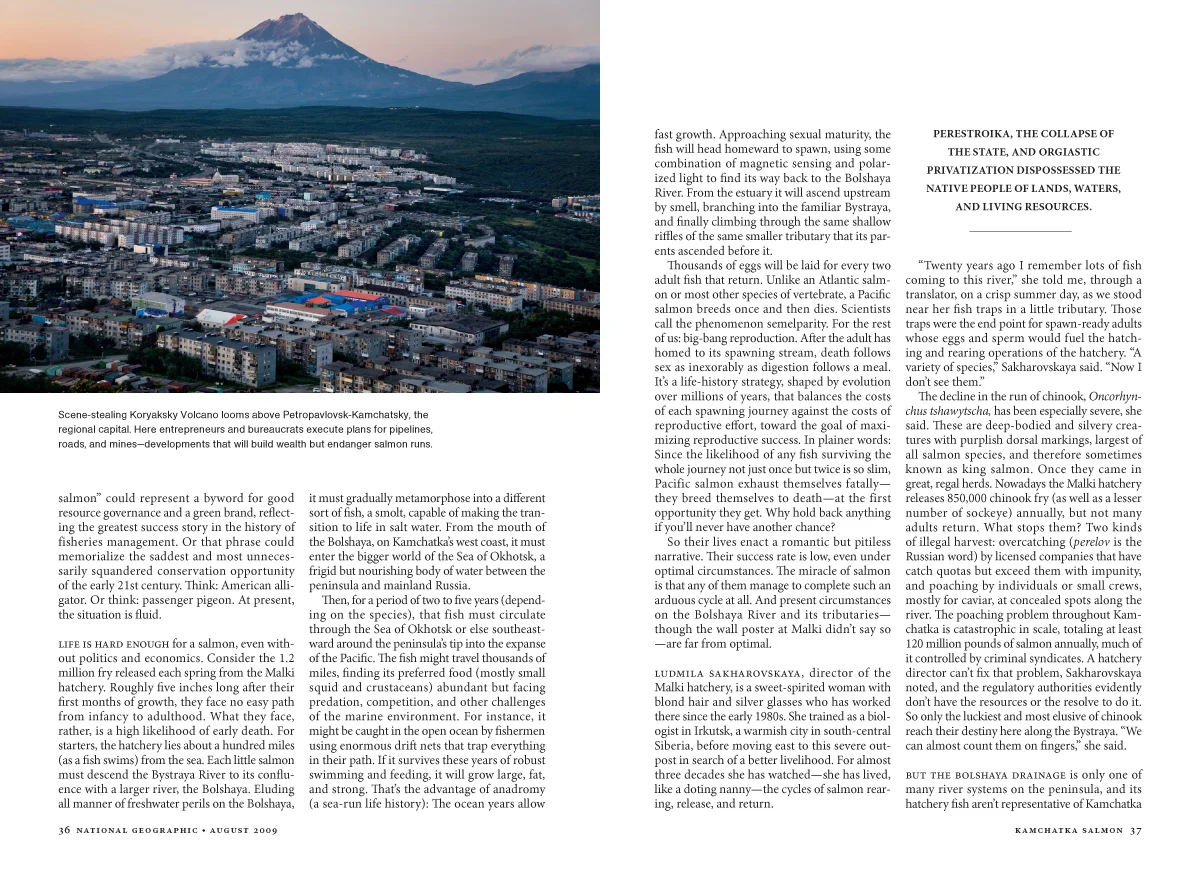 Kamchatka Salmon MM7593-5.jpg