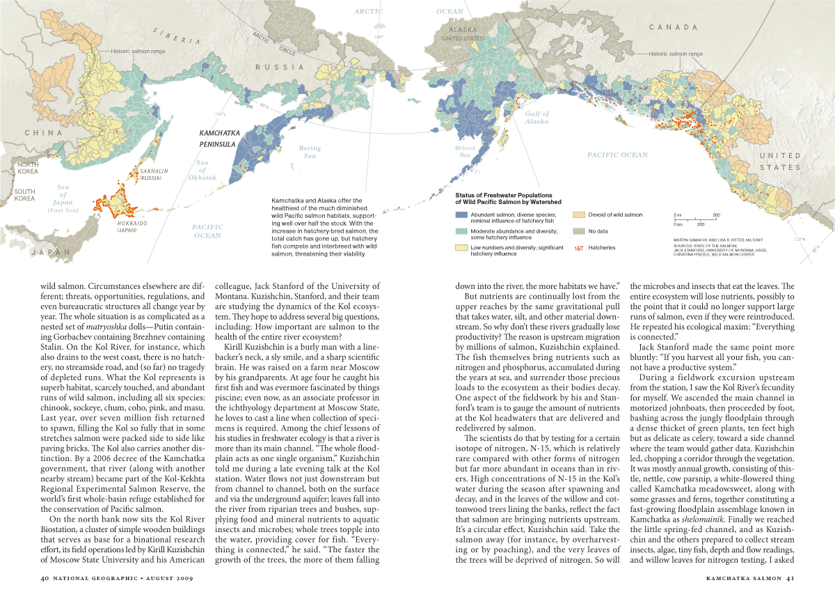 Kamchatka Salmon MM7593-7.jpg