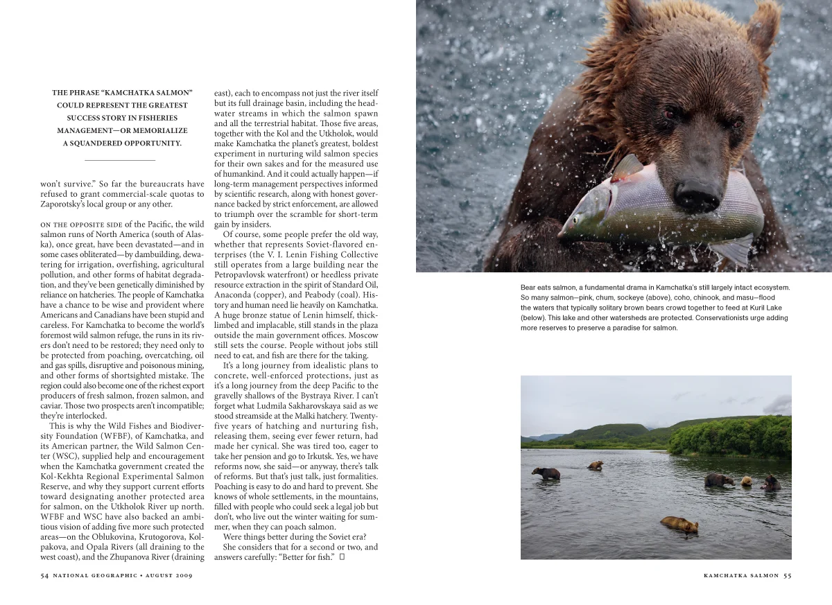 Kamchatka Salmon MM7593-14.jpg
