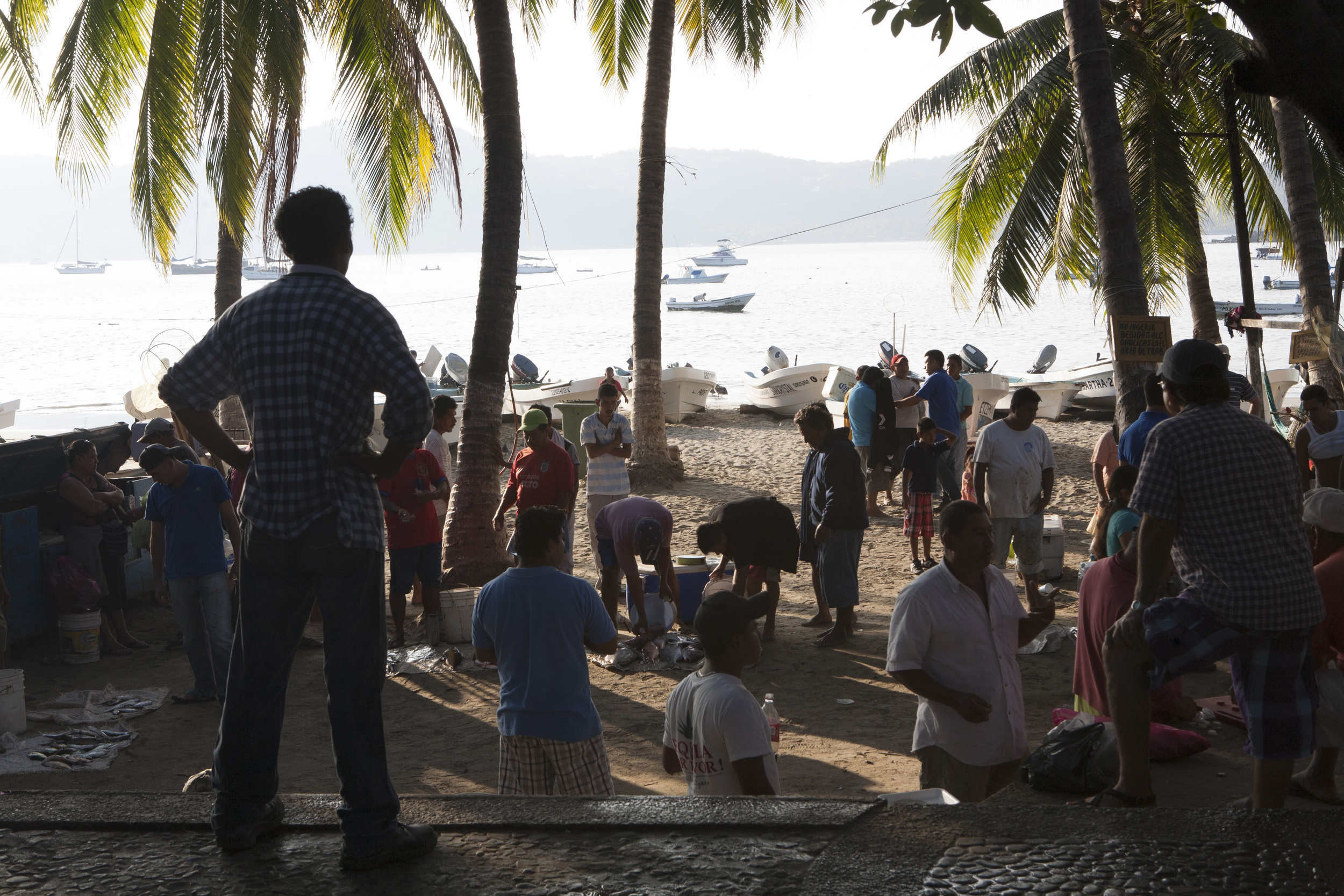  Visitors can enjoy the natural charms of the local fishing scene in the mornings at Playa Principal where the beach in Zihua turns into a lively market. ©Gail Fisher 