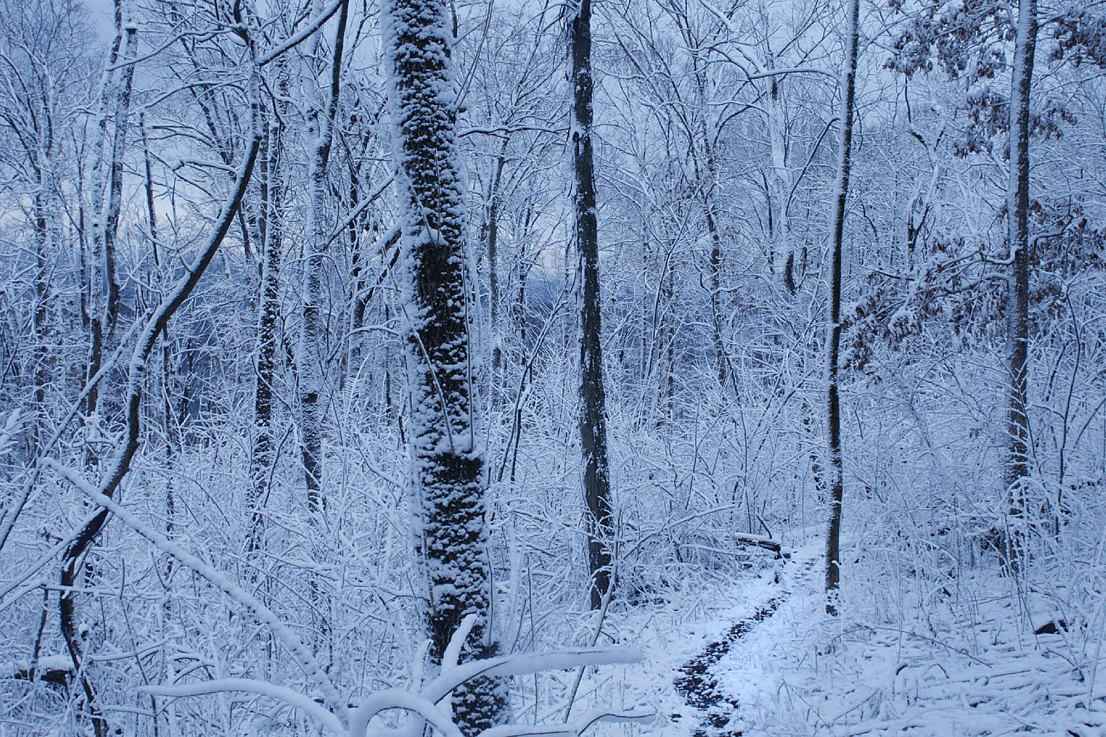 MM7676_08_03_07_7177.jpg