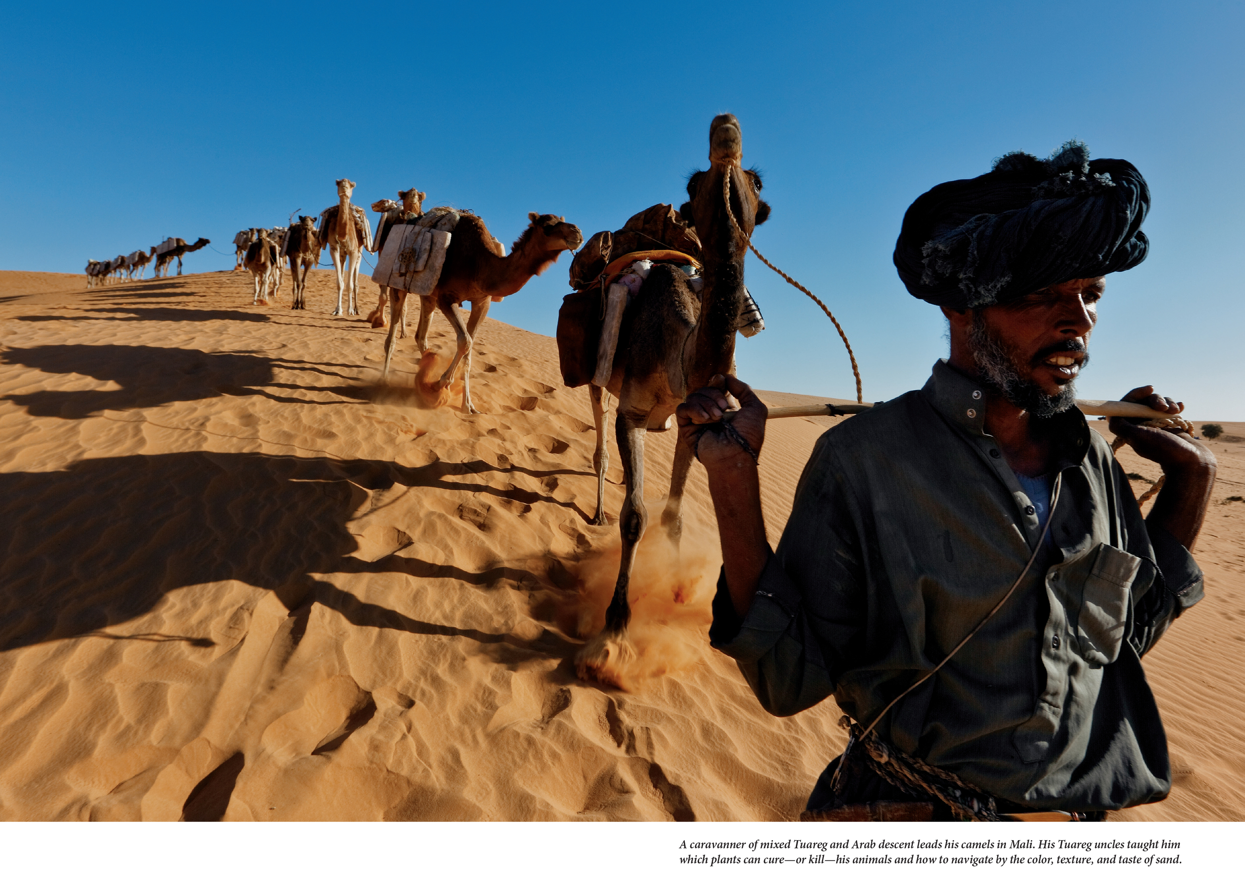 Tuaregs MM7761_48-5.jpg
