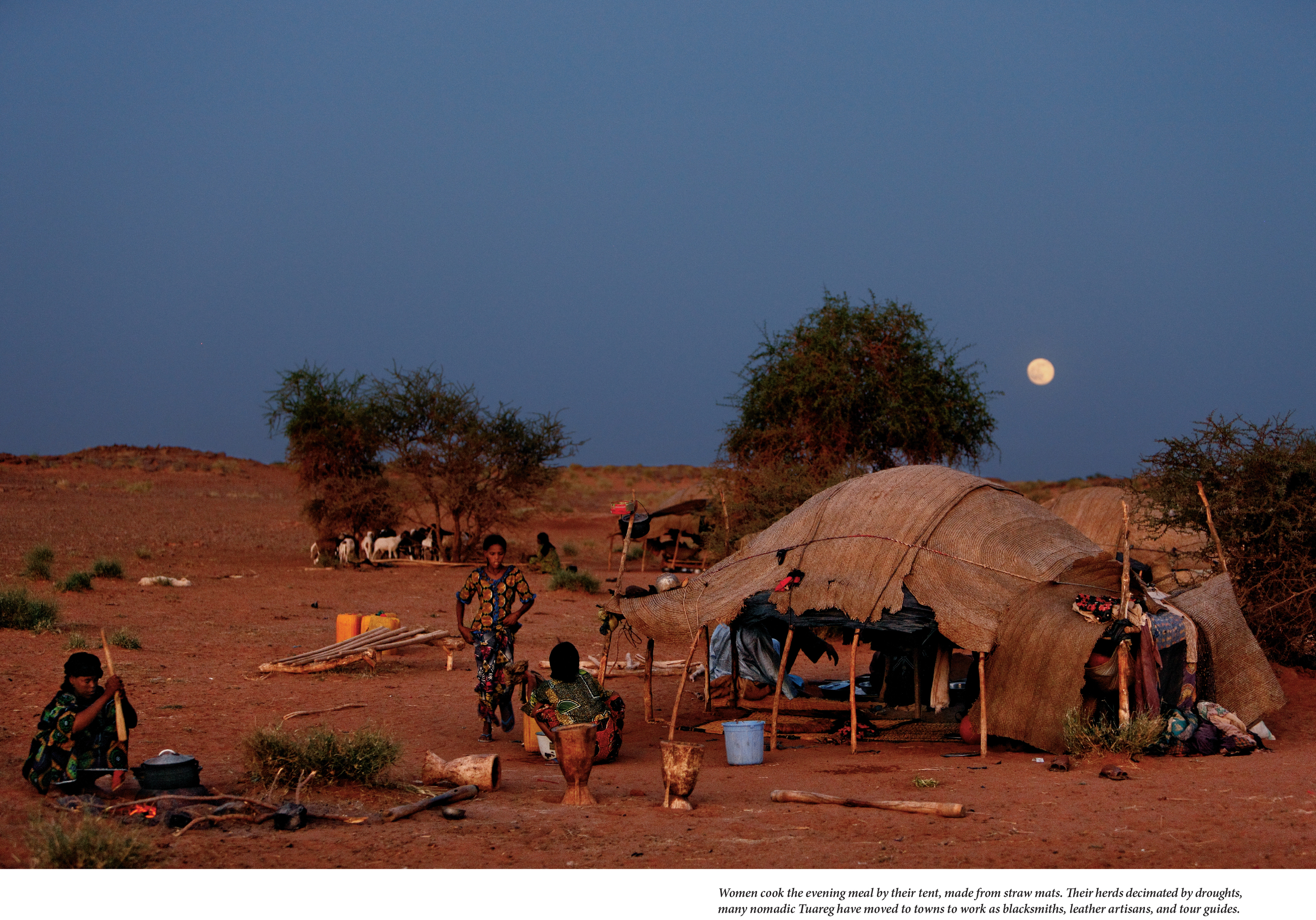 Tuaregs MM7761_48-7.jpg