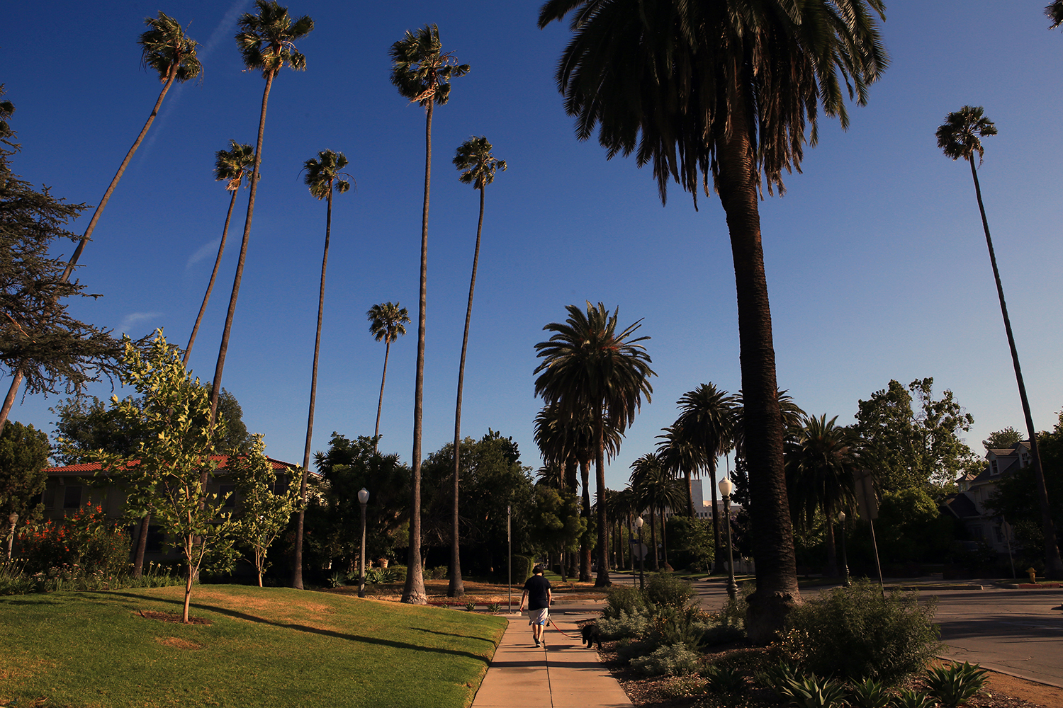  Hofheimer walks his dog Ozzie after school in Larchmont, his affluent neighborhood notable for it’s well-maintained historic homes in Los Angeles. © Gail Fisher for ESPN 