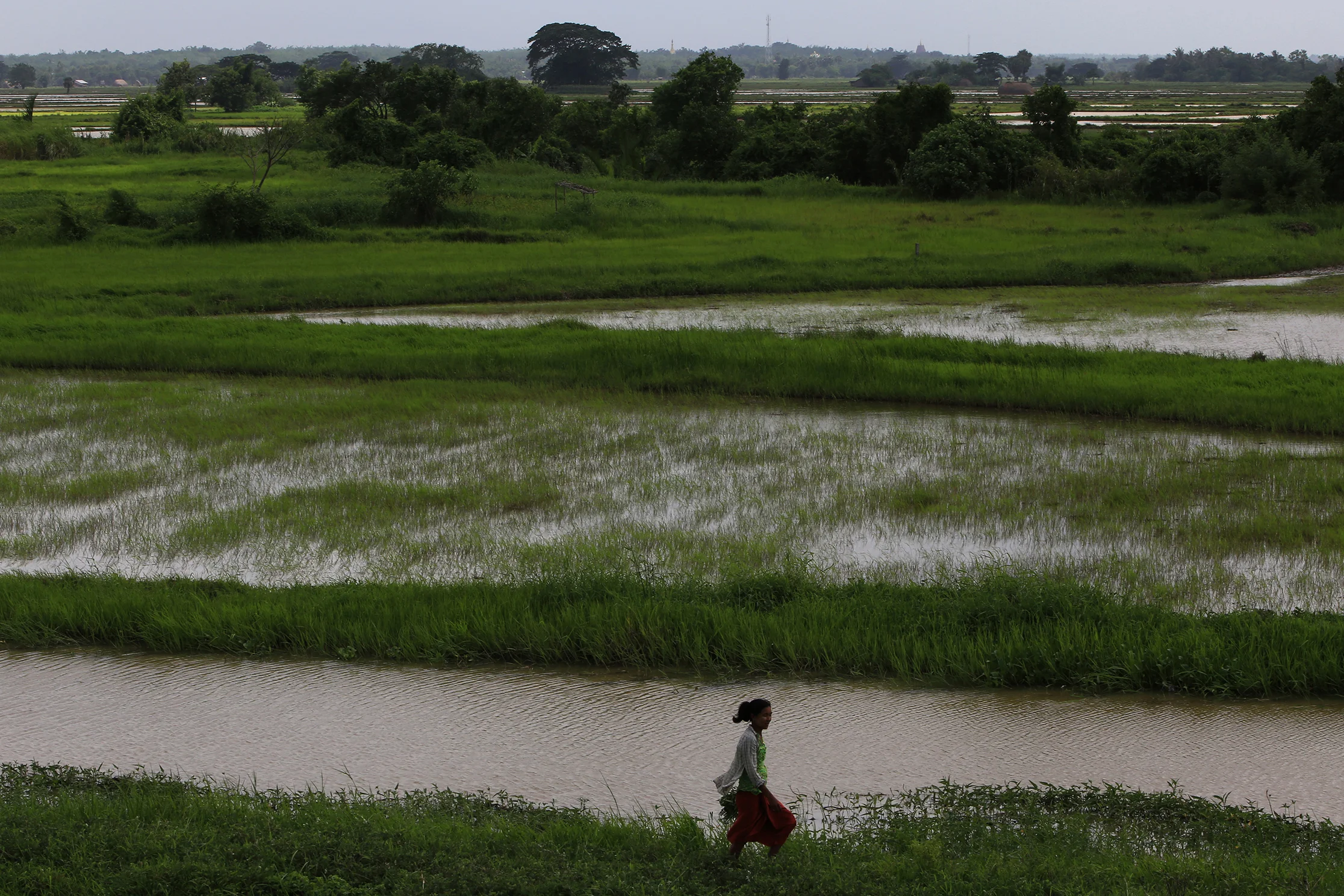 From a village in Myanmar's Irrawaddy's Delta, to a meditation in Baldwin Park, the path of a Buddhist monk became a life dedicated to social services and serving others. © Gail Fisher for Los Angeles Times