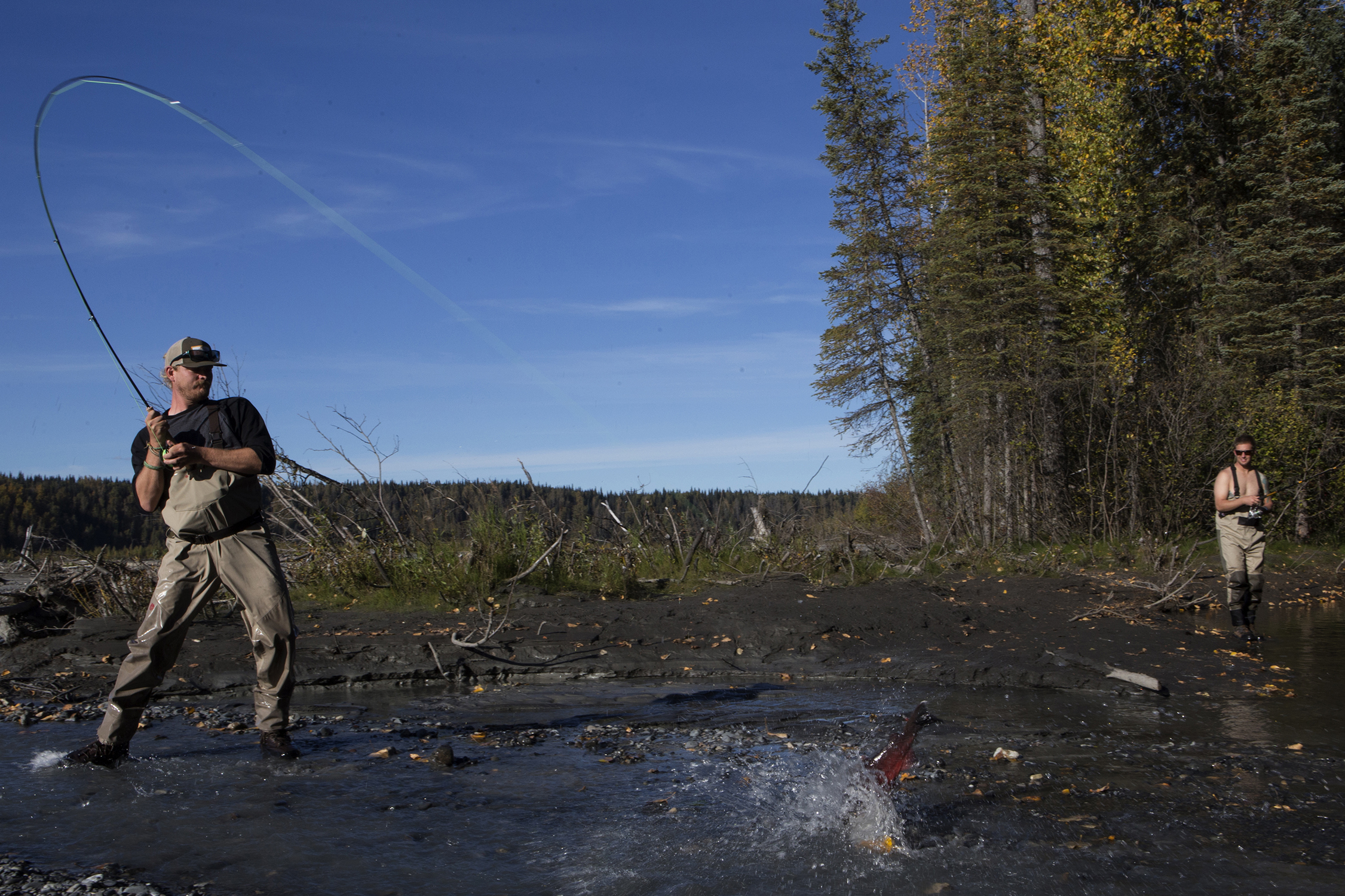  Right, Austin Krempin watches as Zack Patton reels in a Coho (Silver) in a stream outside Talkeetna, Alaska in Matanuska-Susitna Borough, one hundred plus mile north of Anchorage, Alaska. Photo by Gail Fisher 