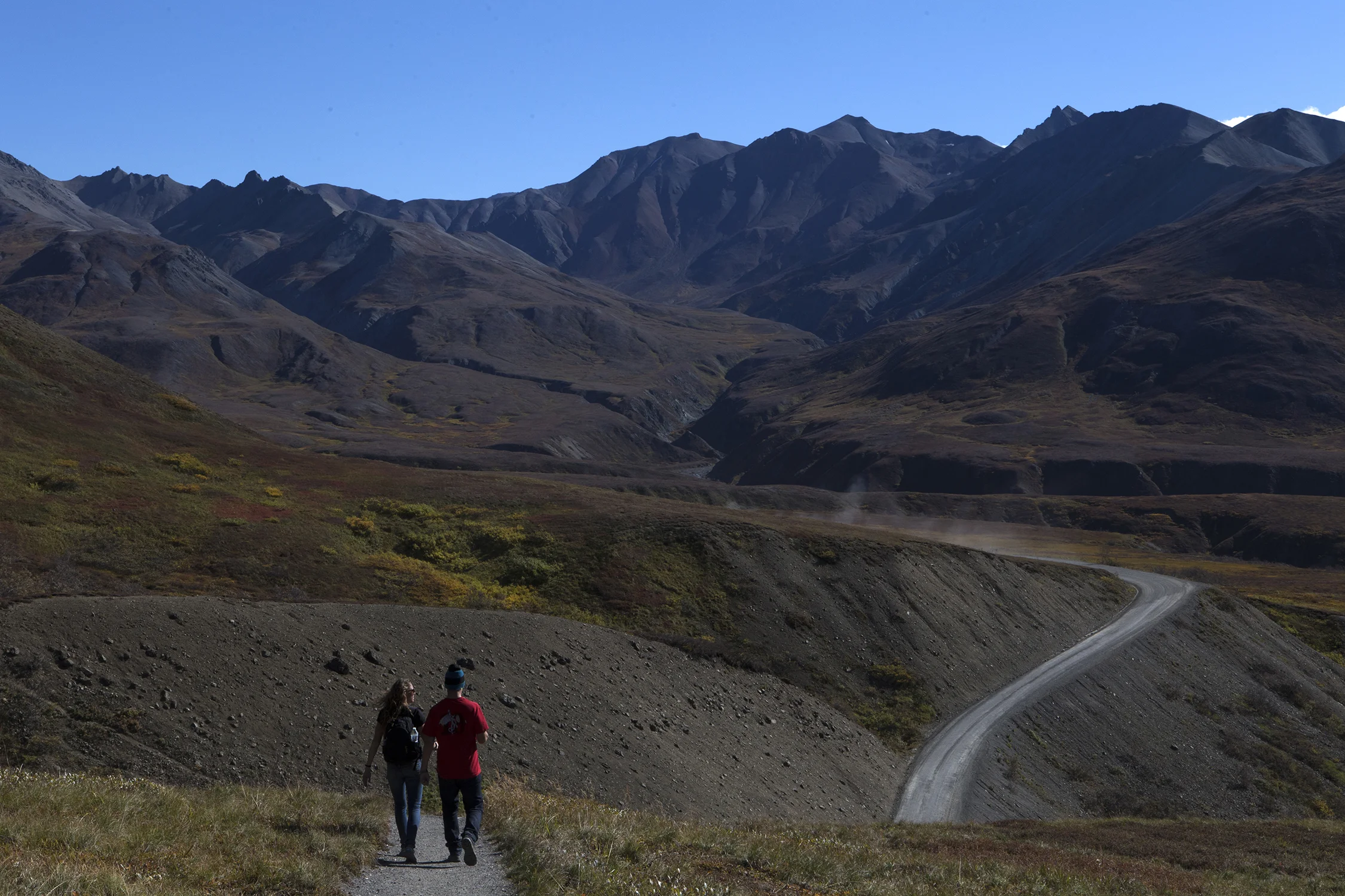 The only road through Denali National Park and Preserve is 92 miles long, parallels the Alaskan Range and travels through low valleys and high mountain passes. Private cars can only travel 15 miles into the park to Savage River, beyond that point only bus tours are available for sightseeing. ©Photo by Gail Fisher 