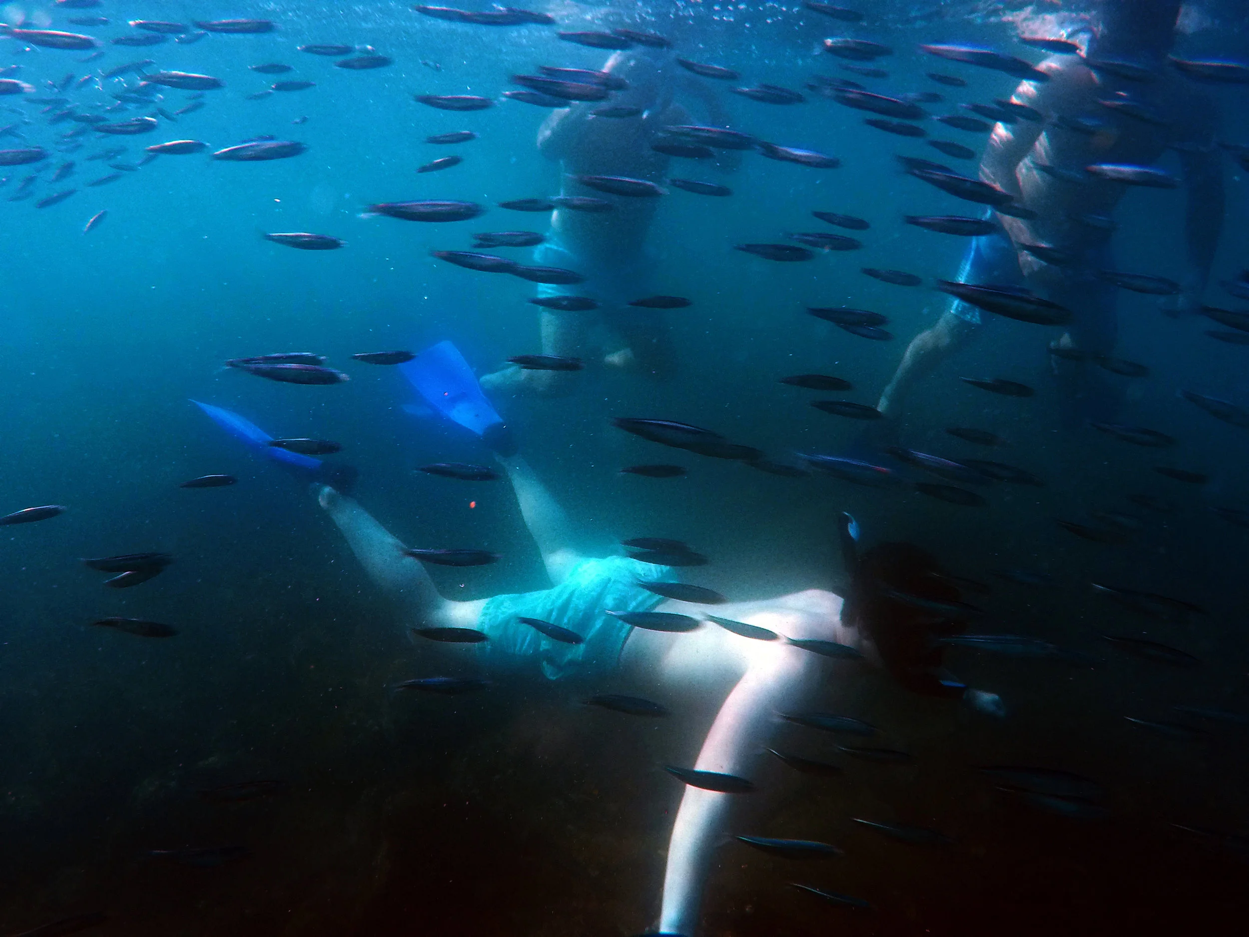 20150124Galapagos014web.jpg