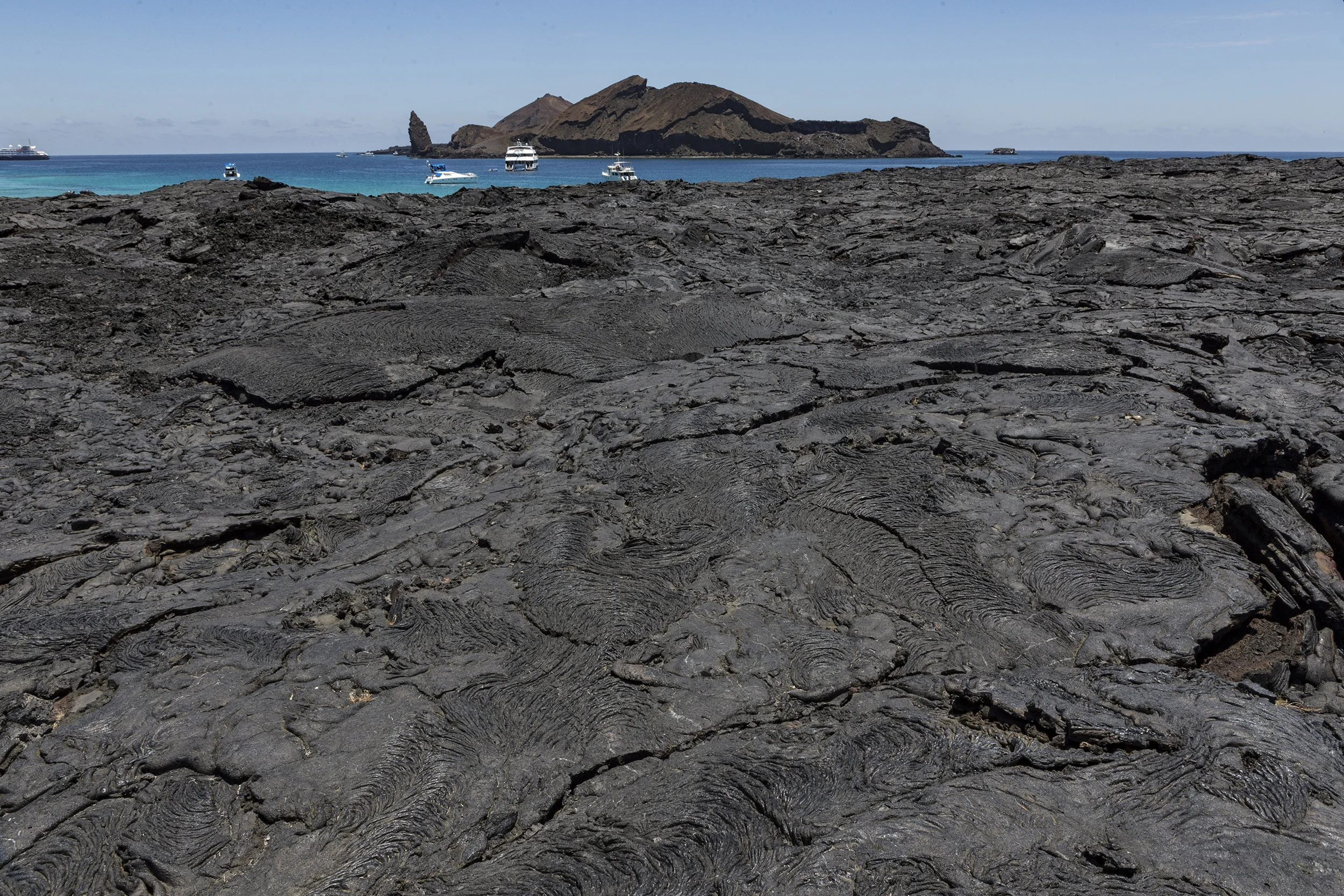 20180304Galapagos030web.jpg