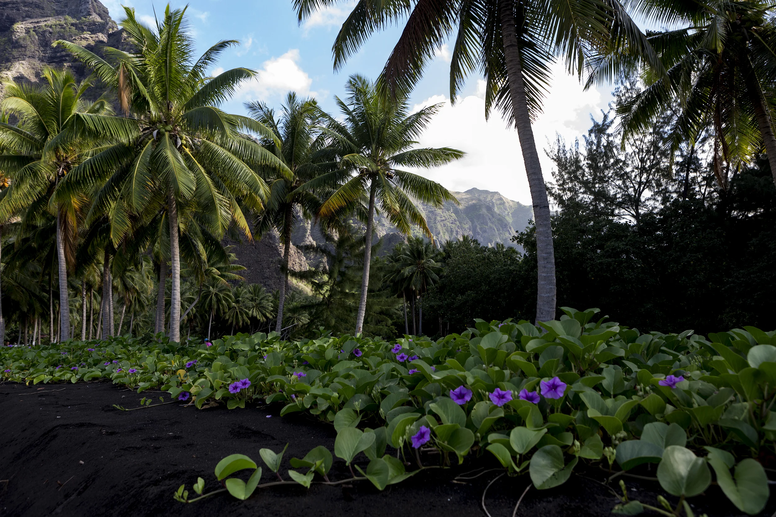 20180421Marquesas018web.jpg
