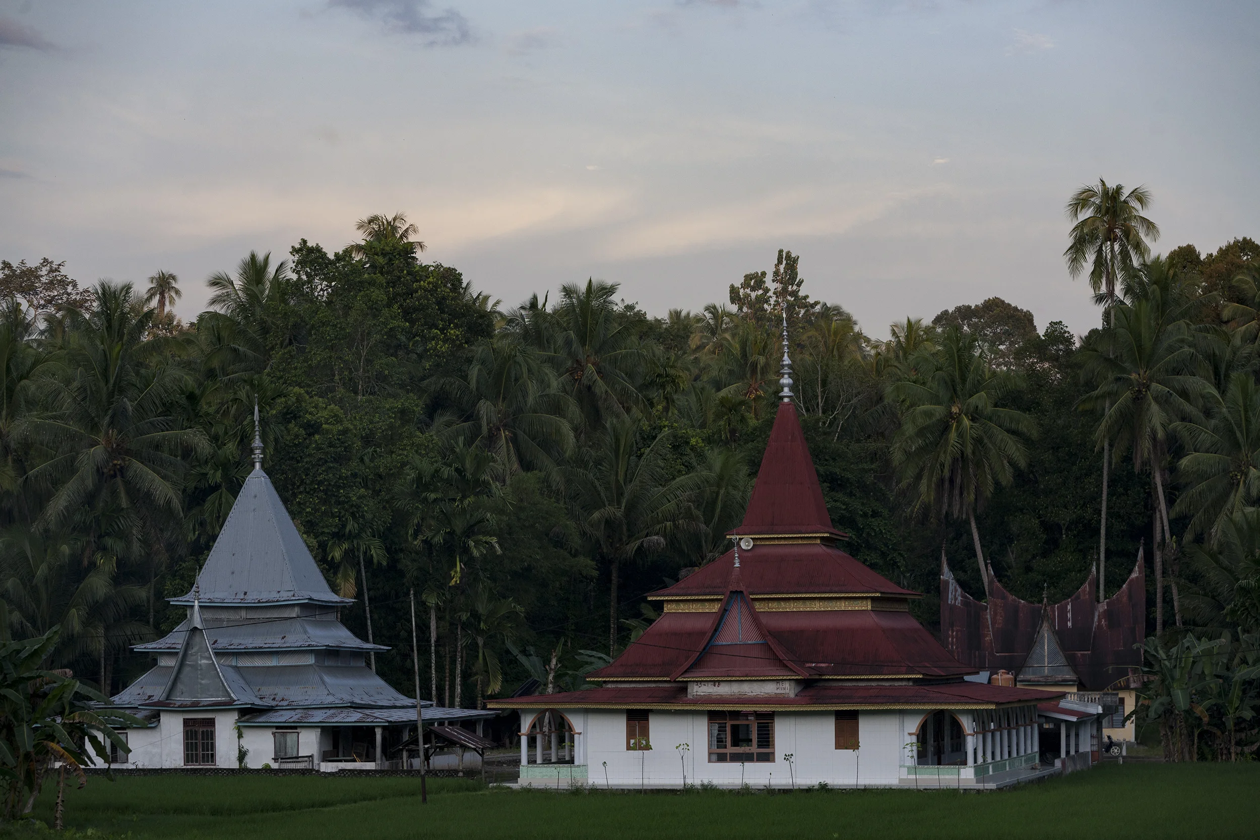 IMG_2698LR.jpg