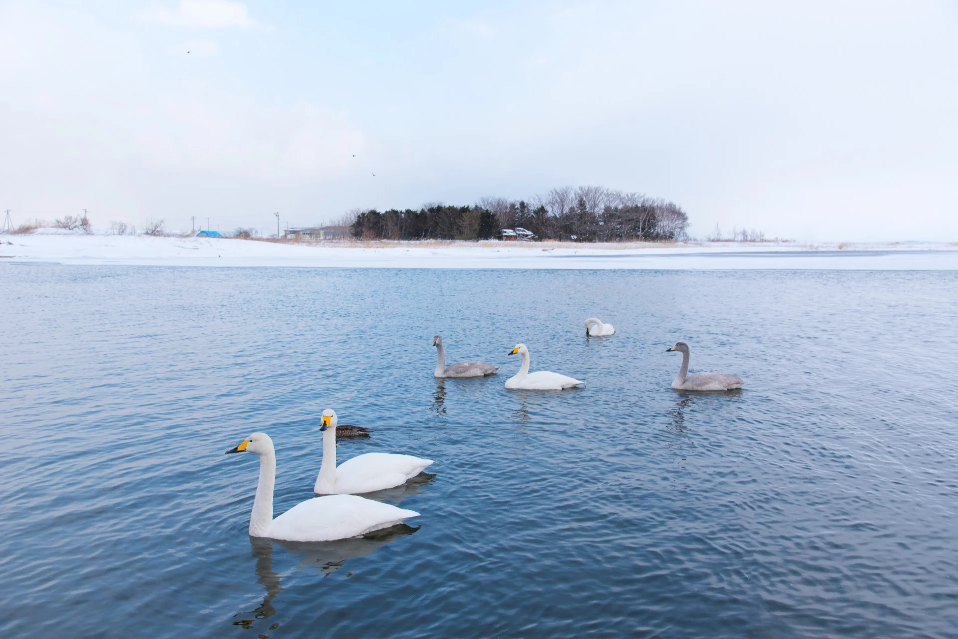 LCA_0756_resize.jpg