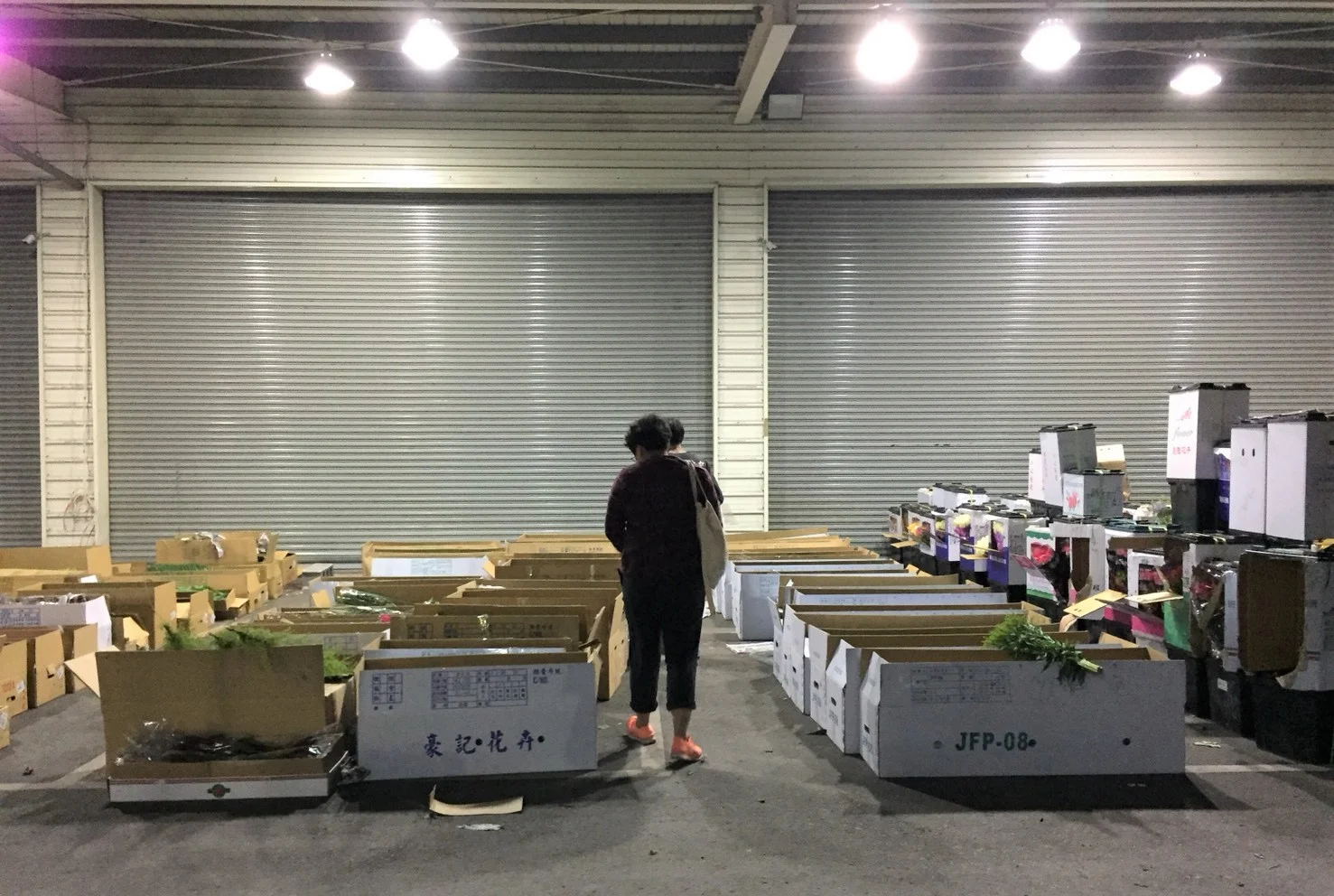S__110190606.jpg