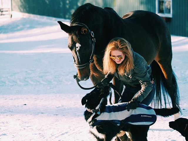 🦄👱🏼&zwj;♀️🐶❄️ | #equestrian #beasts #brrrrr #smilesformiles #canadian #dressage #rider #rescuedog #hanoverian 📸: @abrialc