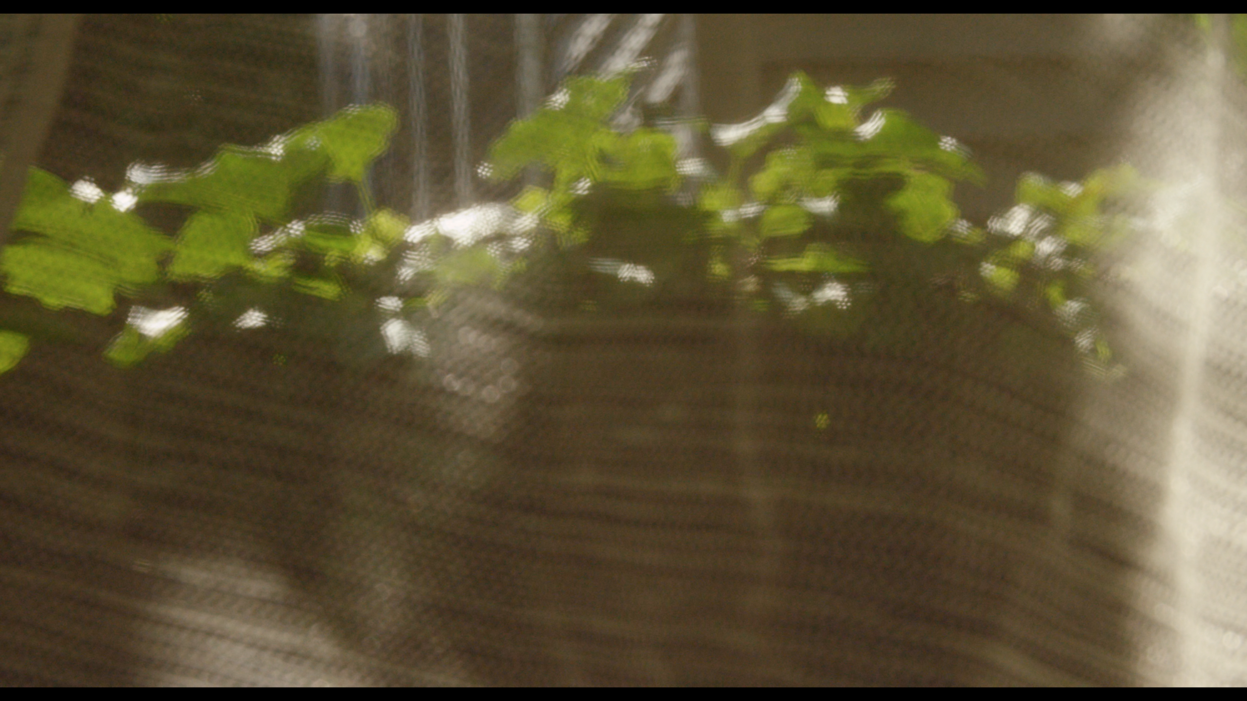 Screen Shot 2015-12-09 at 2.29.51 AM.png