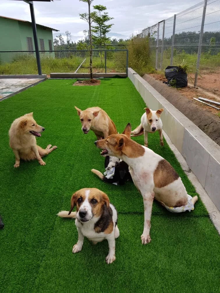 WhatsApp Image 2021-06-28 at 14.47.43.jpeg