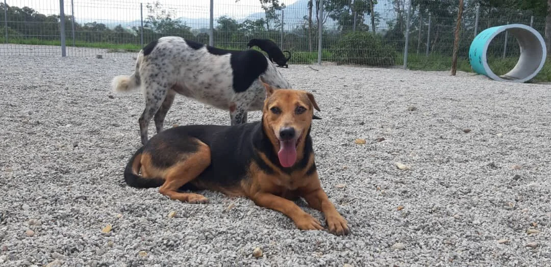 WhatsApp Image 2021-07-01 at 15.23.19.jpeg