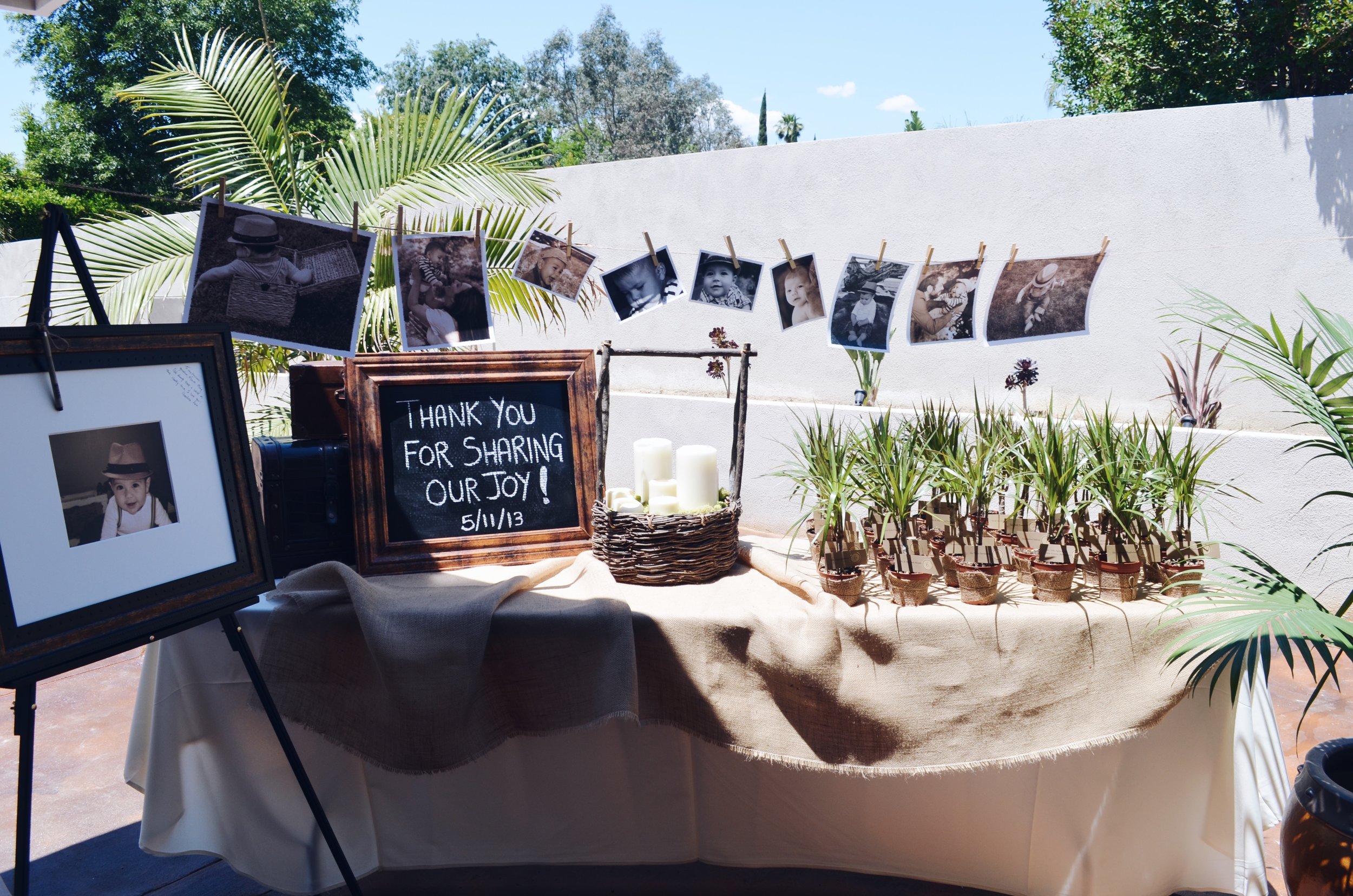   The entrance table with the plant favors and guest sign-in  