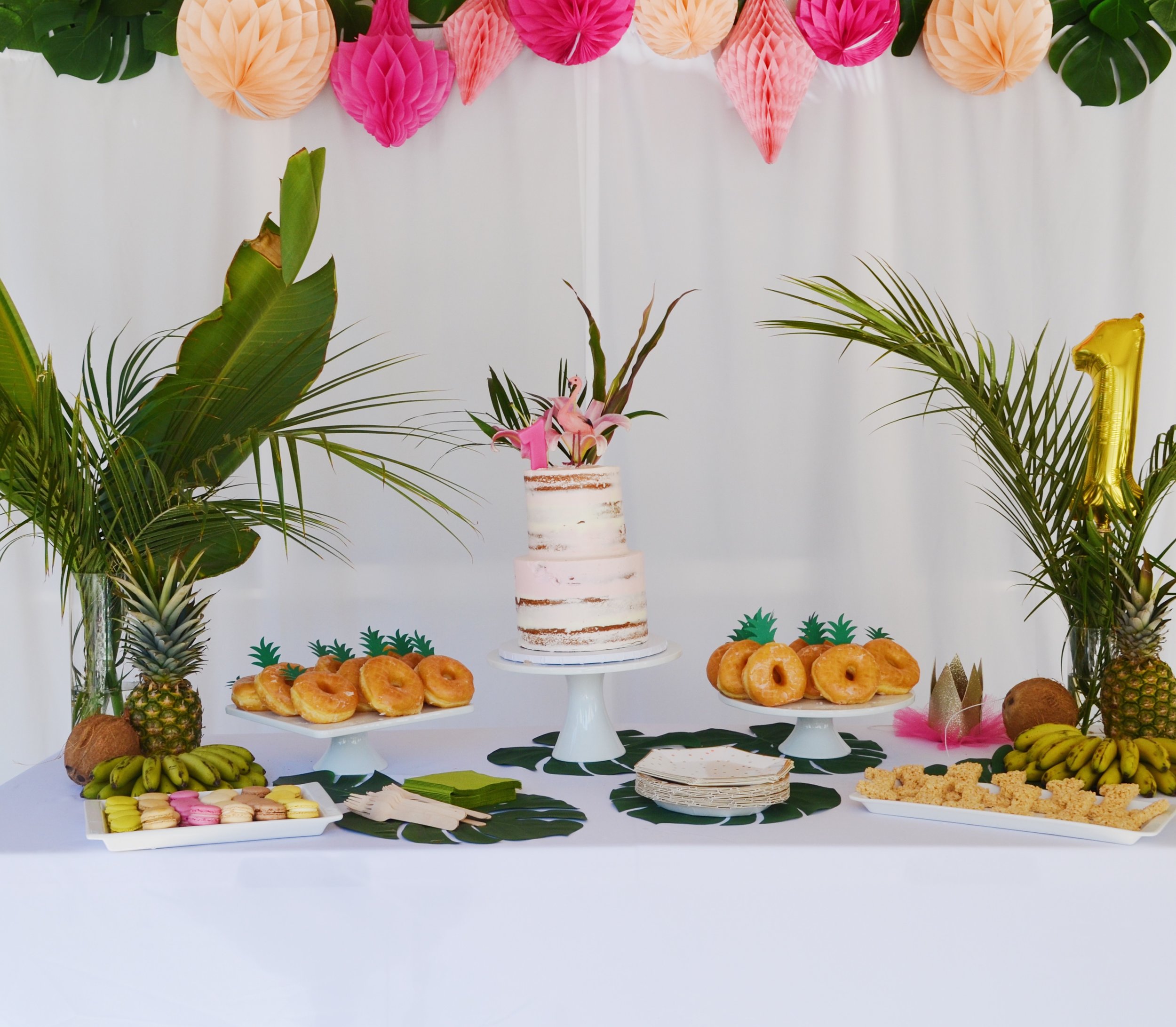 Katherine's Tropical First Birthday
