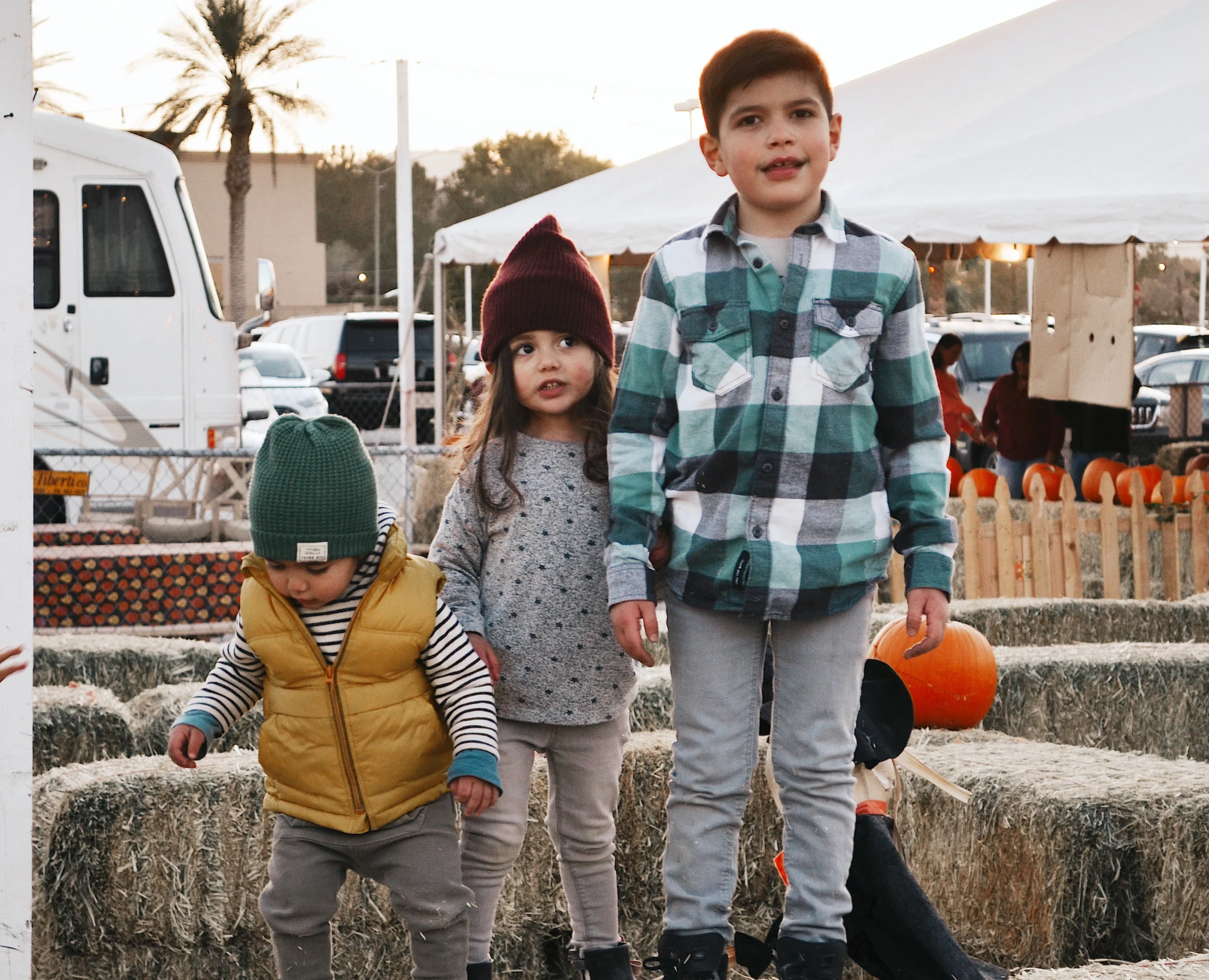 Pumpkin Patch 2019