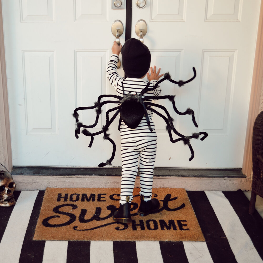 spider costume diy.JPG