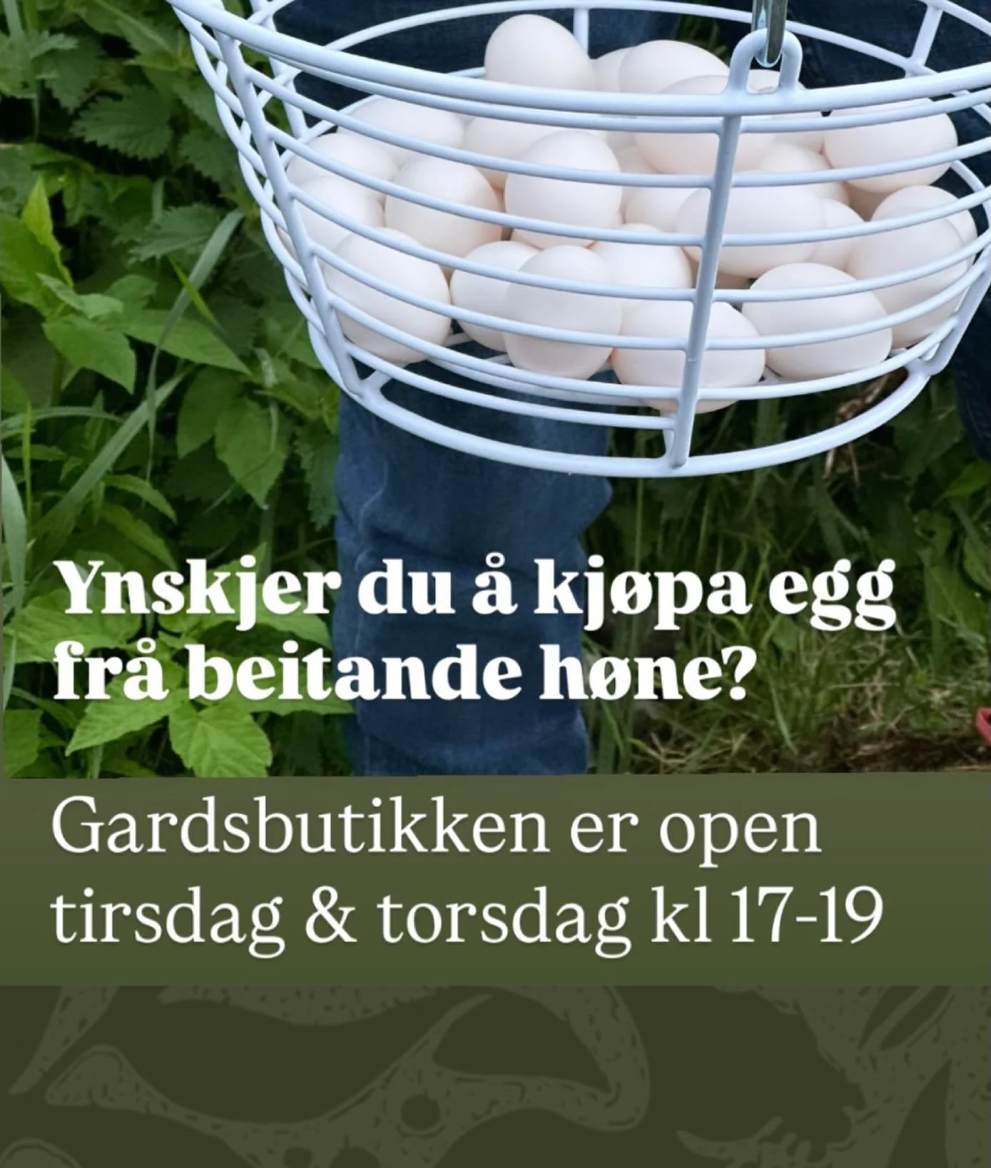 Gardsbutikken er open tirsdagar og torsdagar