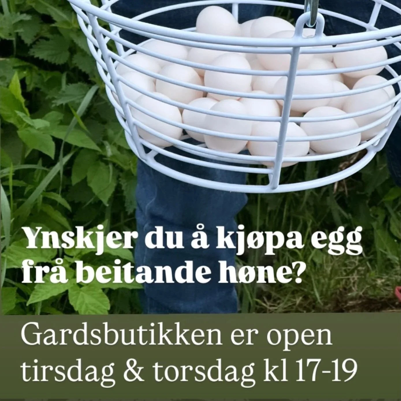 Gardsbutikken er open tirsdagar og torsdagar