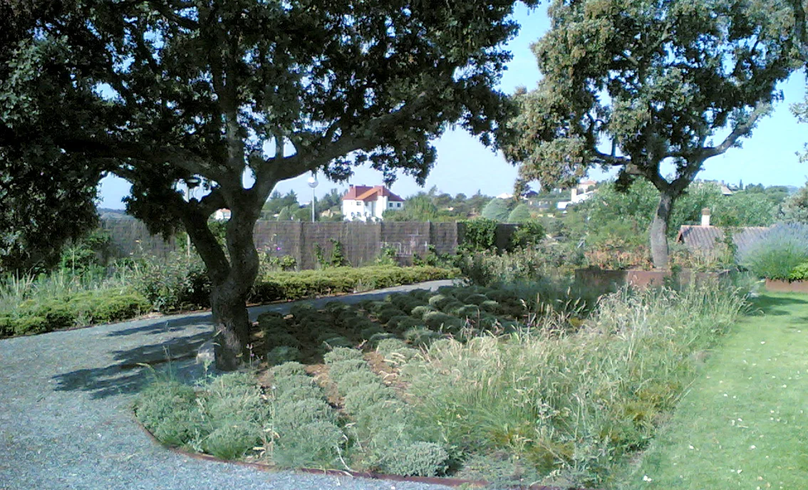 20062005(003).jpg