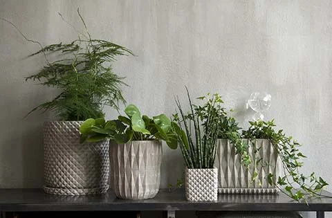 Maceta Otto (por packs)