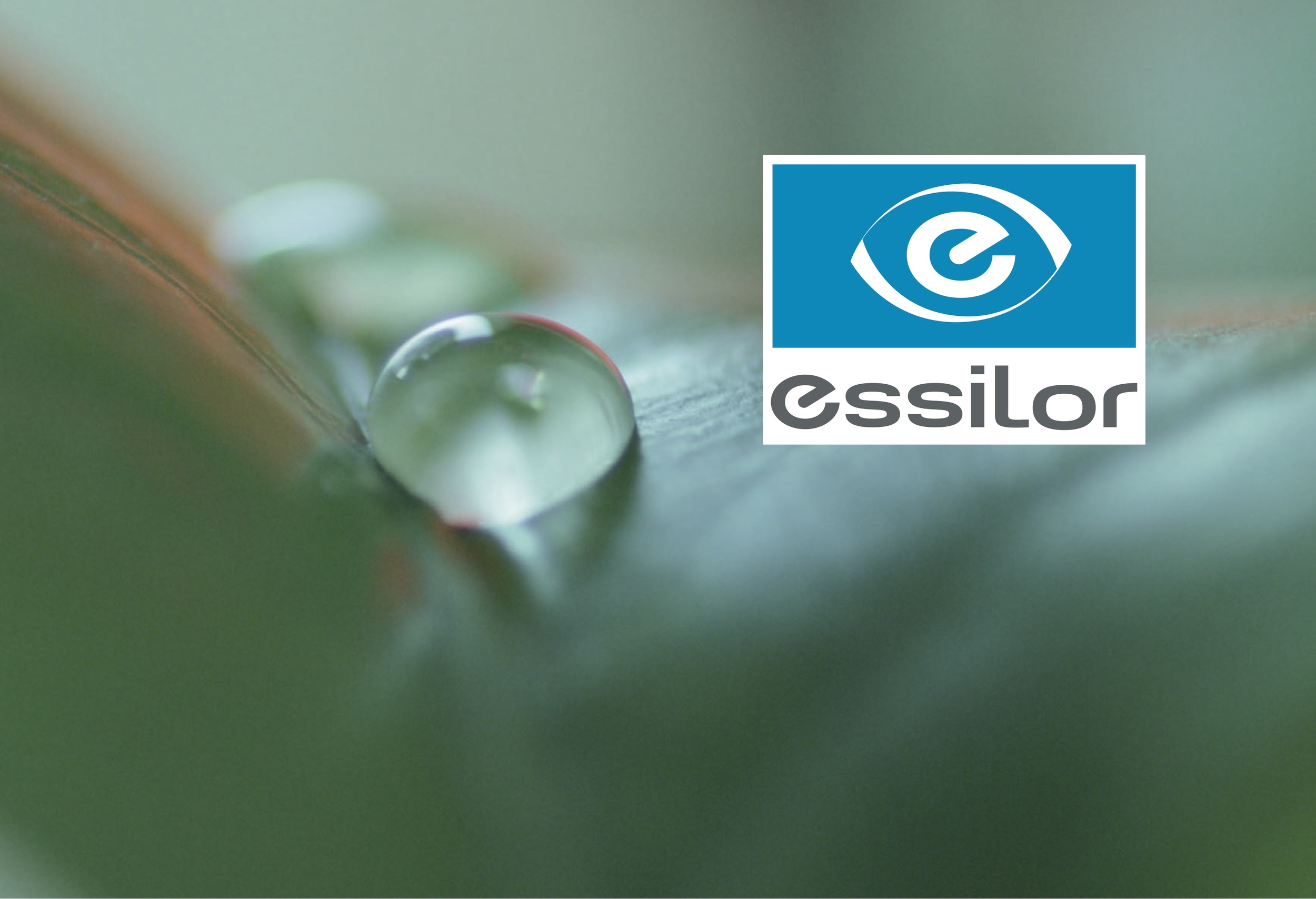 Essilor 2.jpg