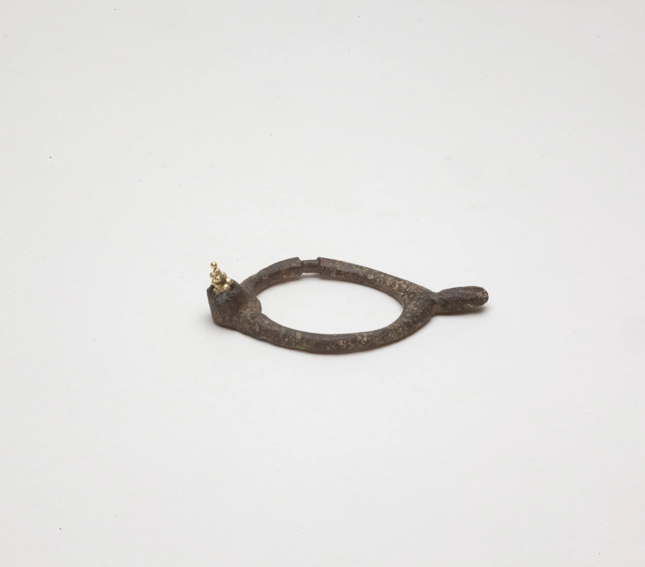 Bird Ring.jpg