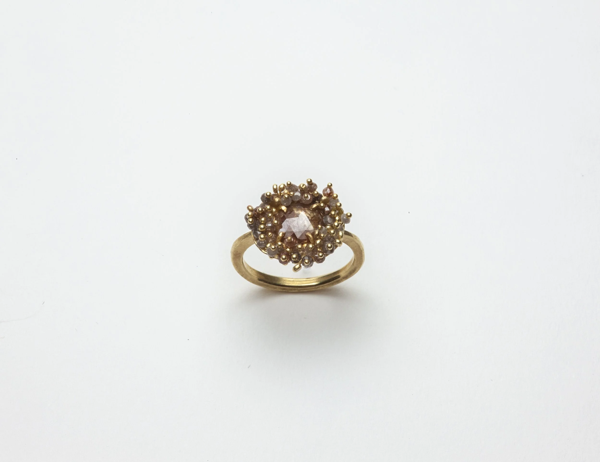 Red Cloud Ring 2026_1.jpg