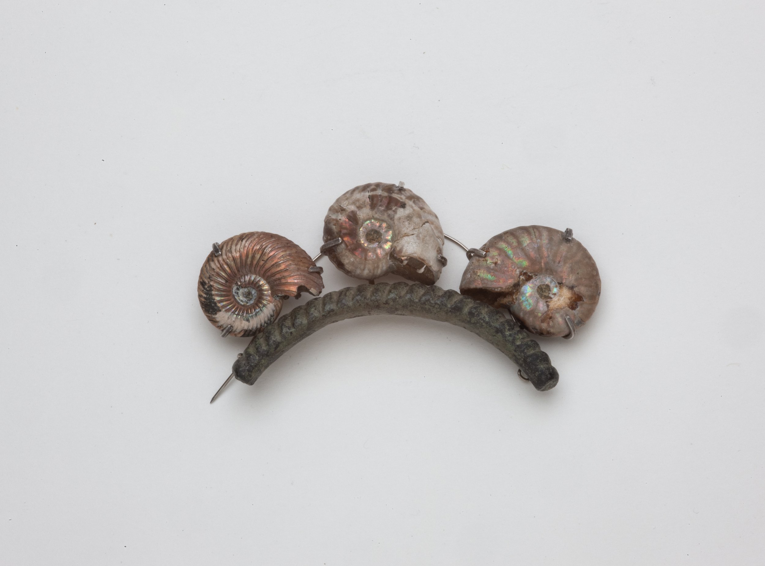 Triple Ammonite Brooch 1.jpg