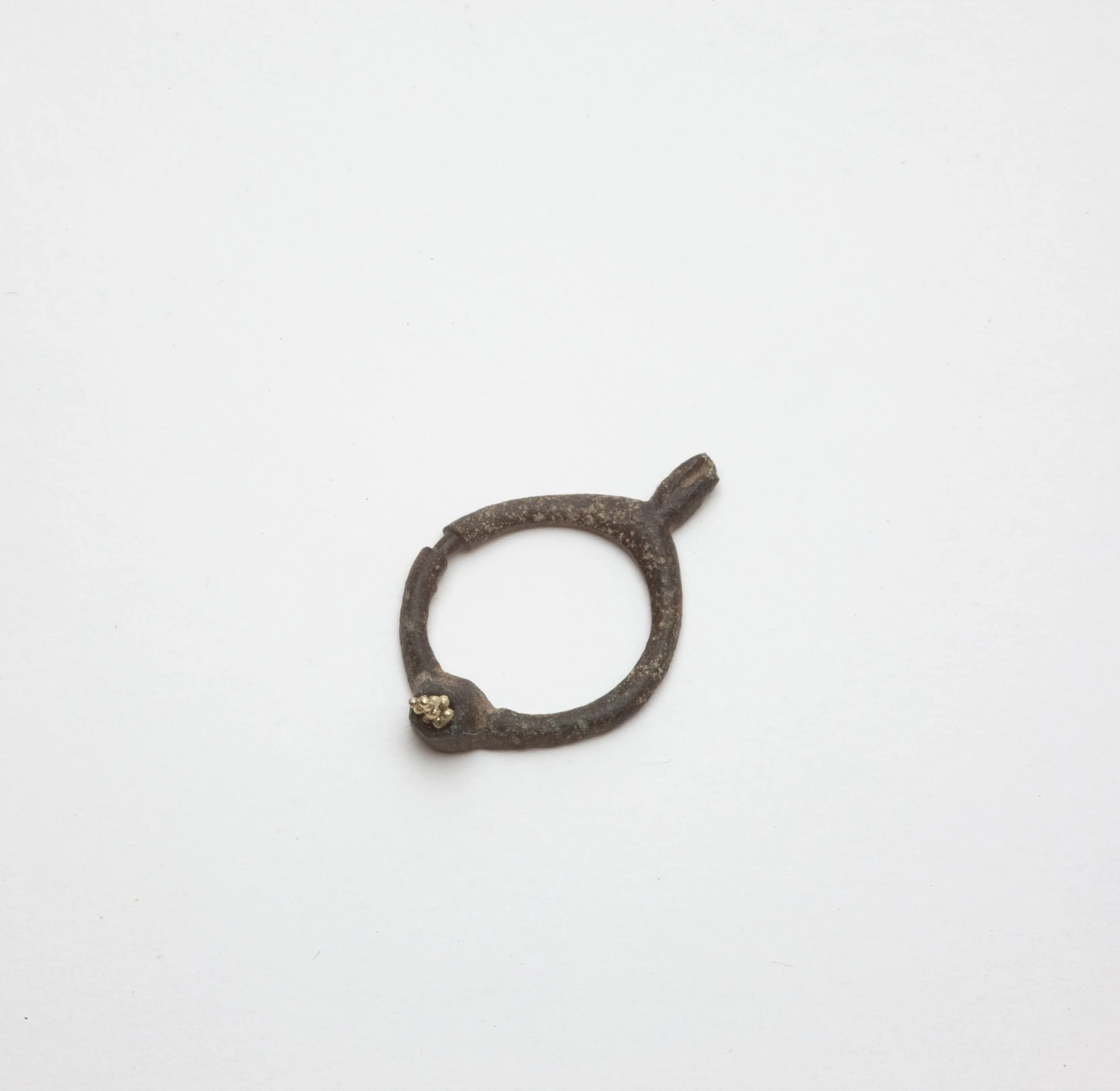 Bird Ring or Pendant.jpg